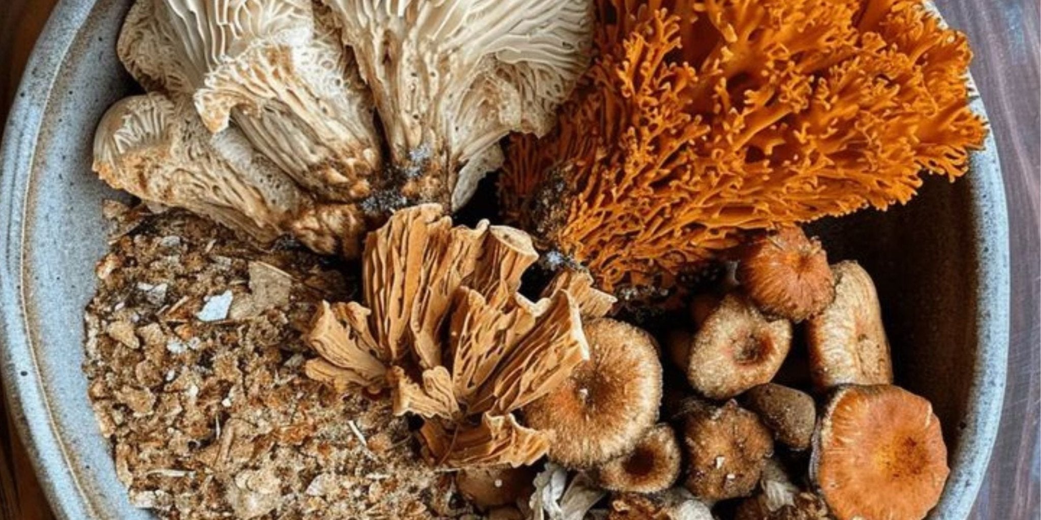 8 Adaptogenic Herbs to Reduce Stress - M.S Skincare