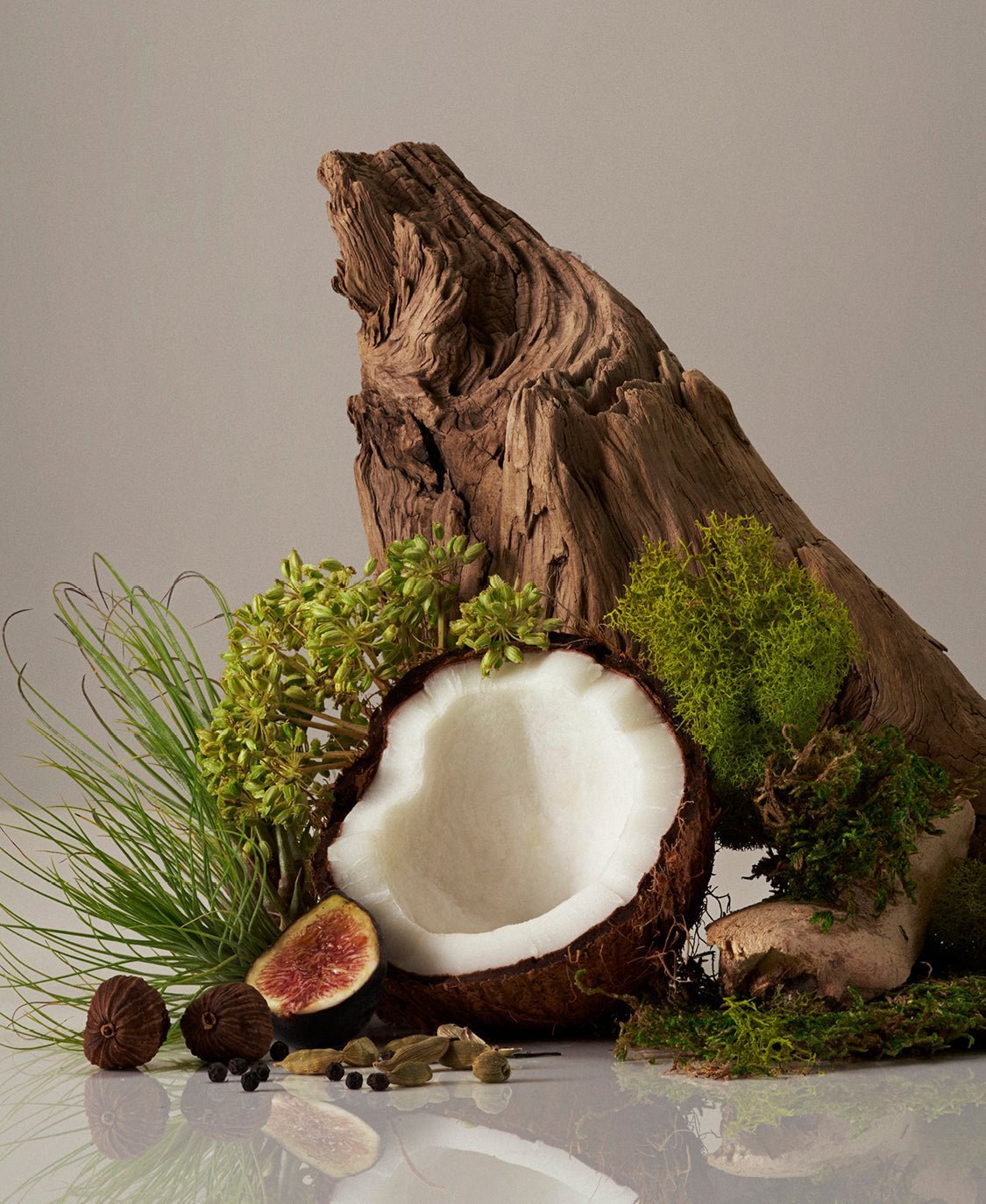 the benefits of coconut oil for the skin on msskincare.co