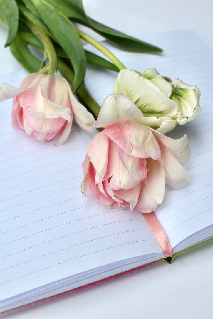 Rosebud Woman Reverence Journal