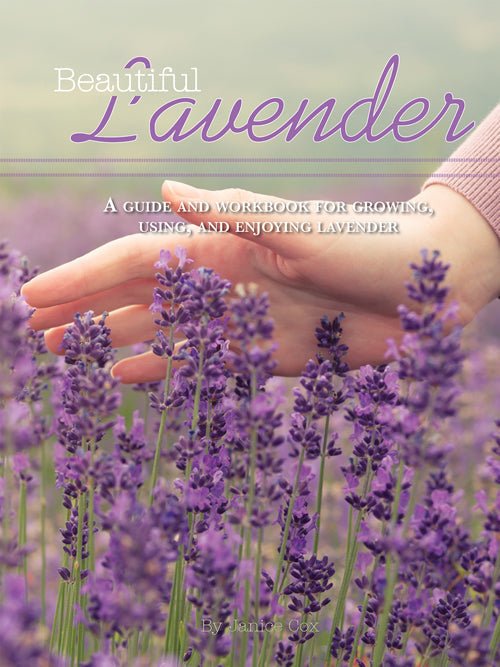 Mother Earth News Beautiful Lavender