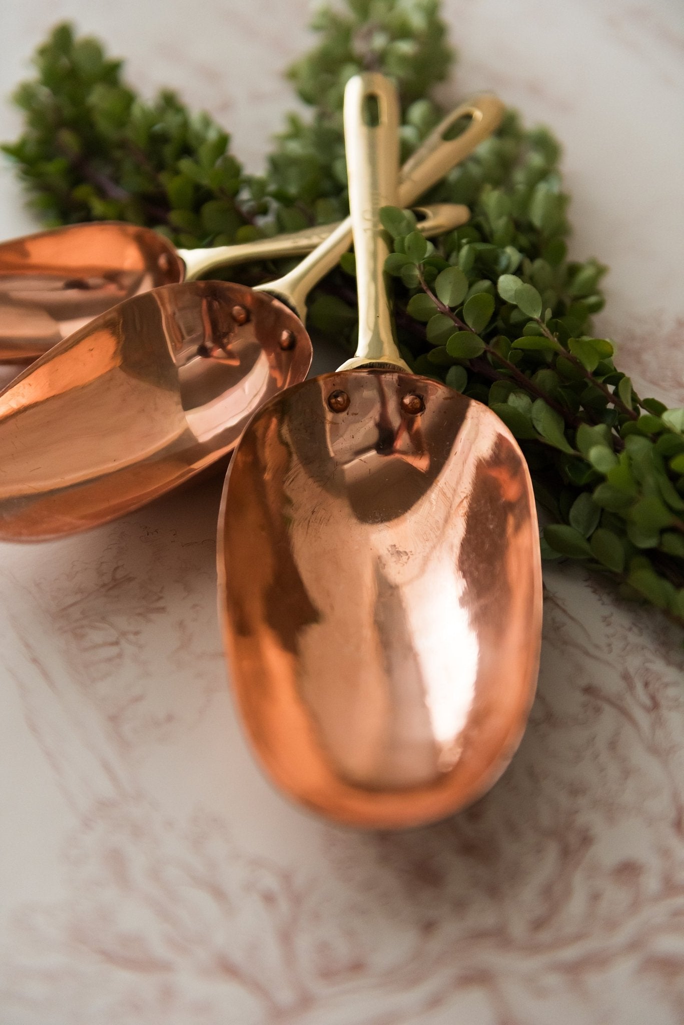 Galley & Fen Copper Measuring Scoops