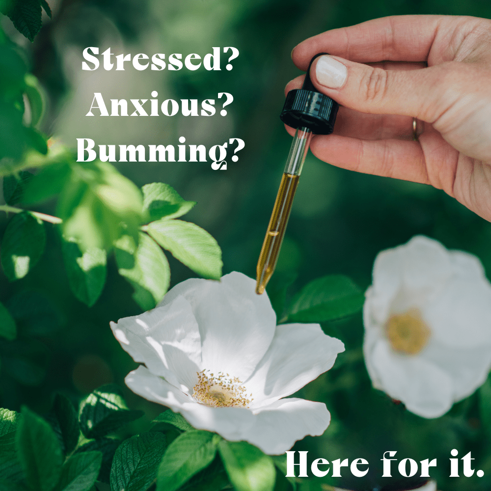 Urban Moonshine Joy Tonic