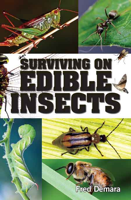 Mother Earth News Surviving On Edible Insects