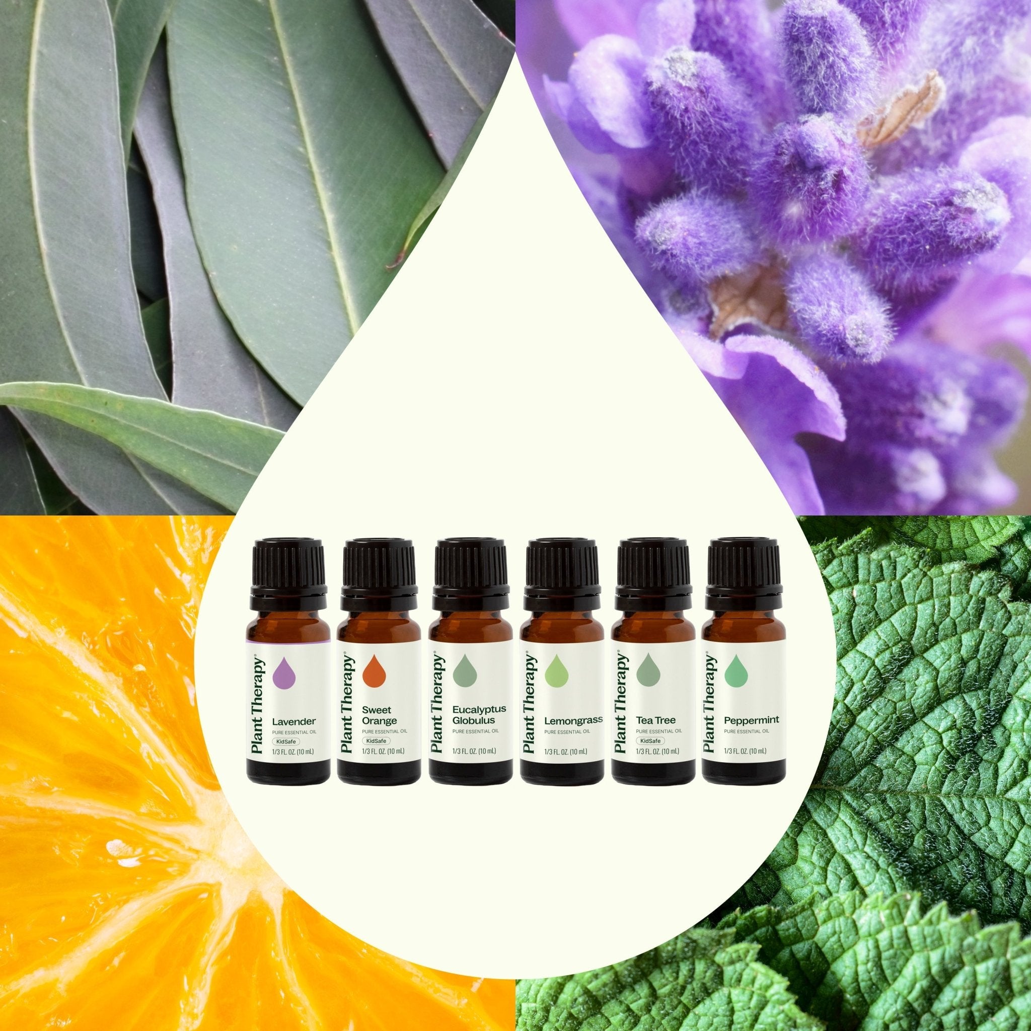 Plant Therapy Breathe Easy Set