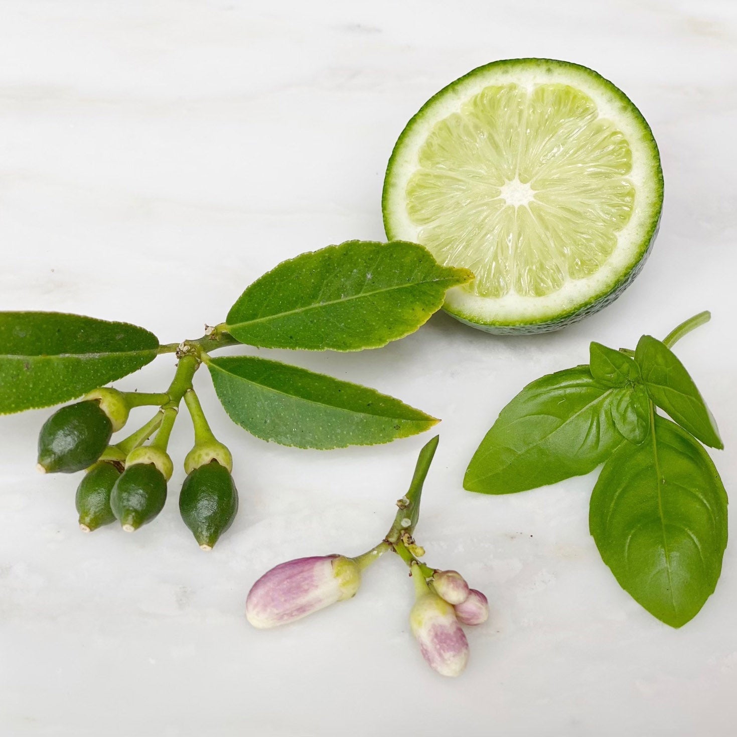 MANIFEST Pure Essential Oil