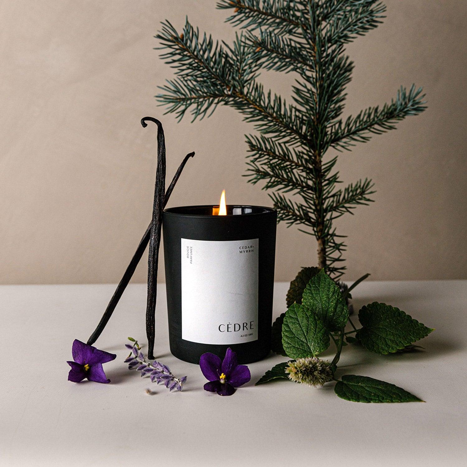 CEDAR AND MYRRH Bougie Parfumée Cèdre