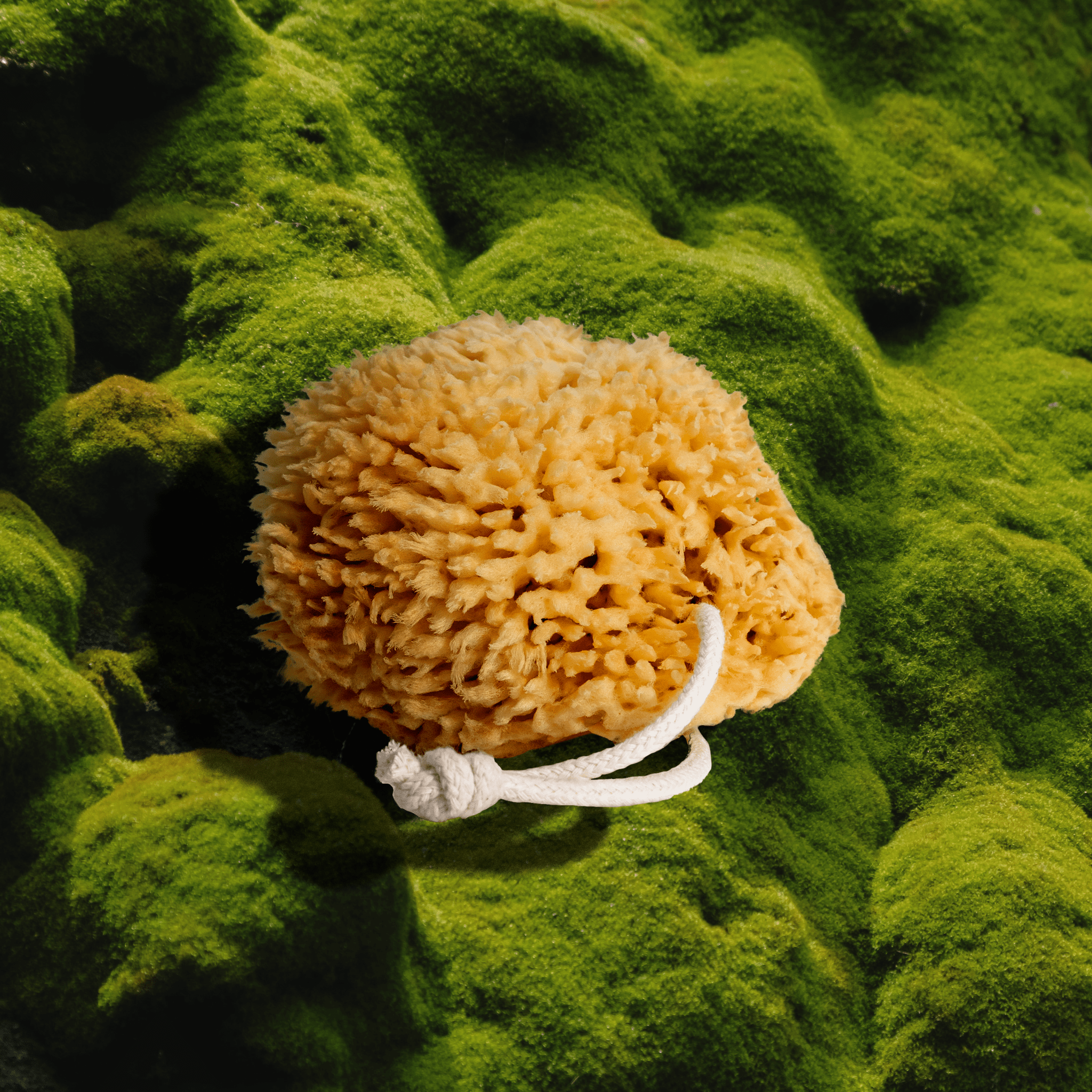 Firsthand Supply Sea Wool Sponge