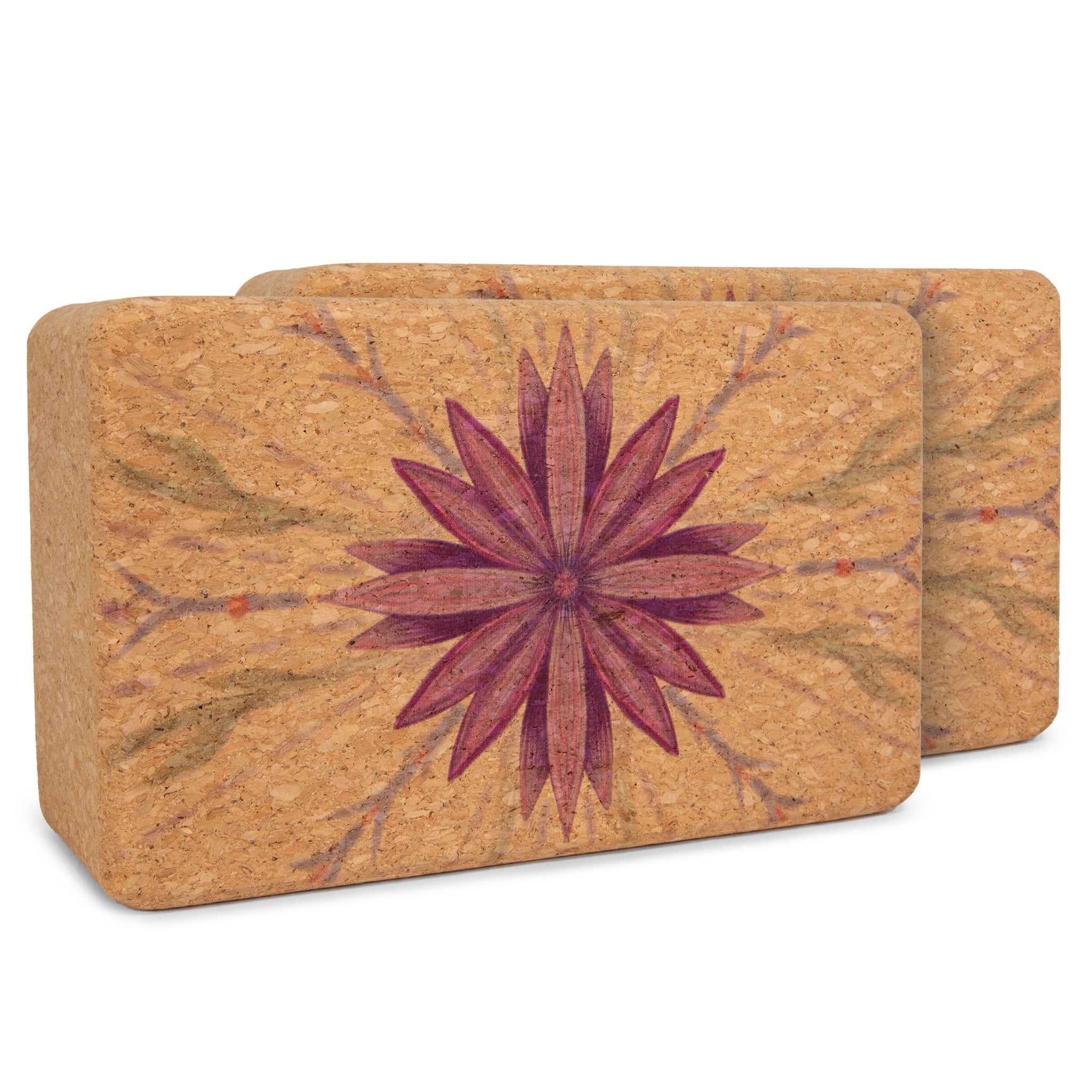 Yoloha Yoga Artist Cork Yoga Block Set