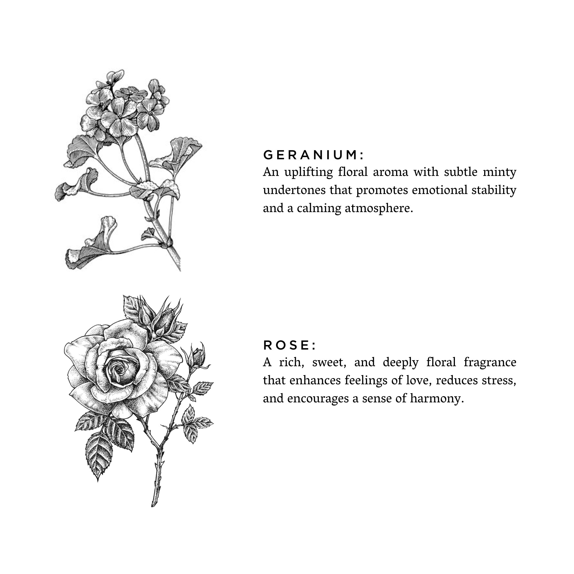 Slow North Geranium + Rose - Signature Candle