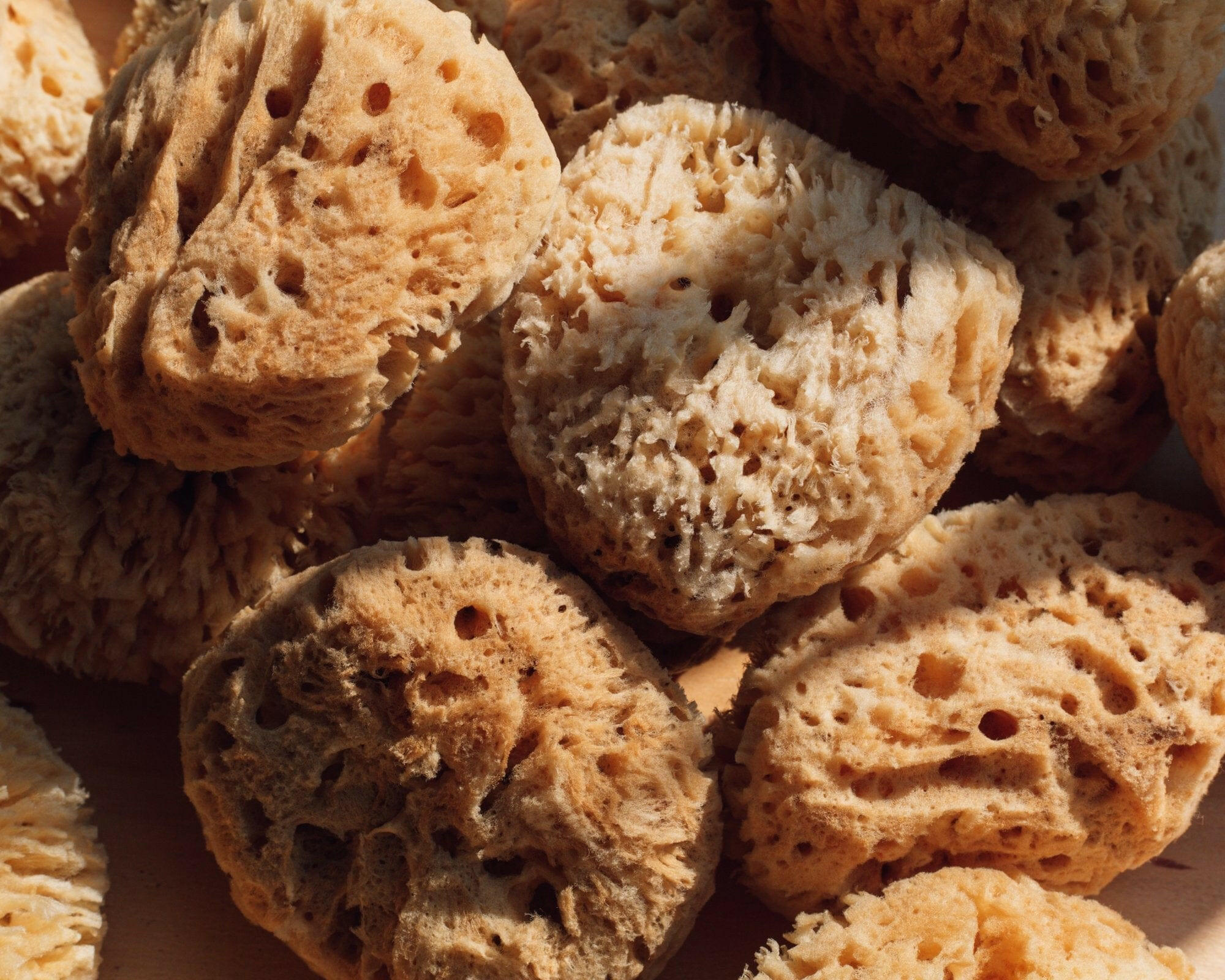 Firsthand Supply Sea Wool Sponge