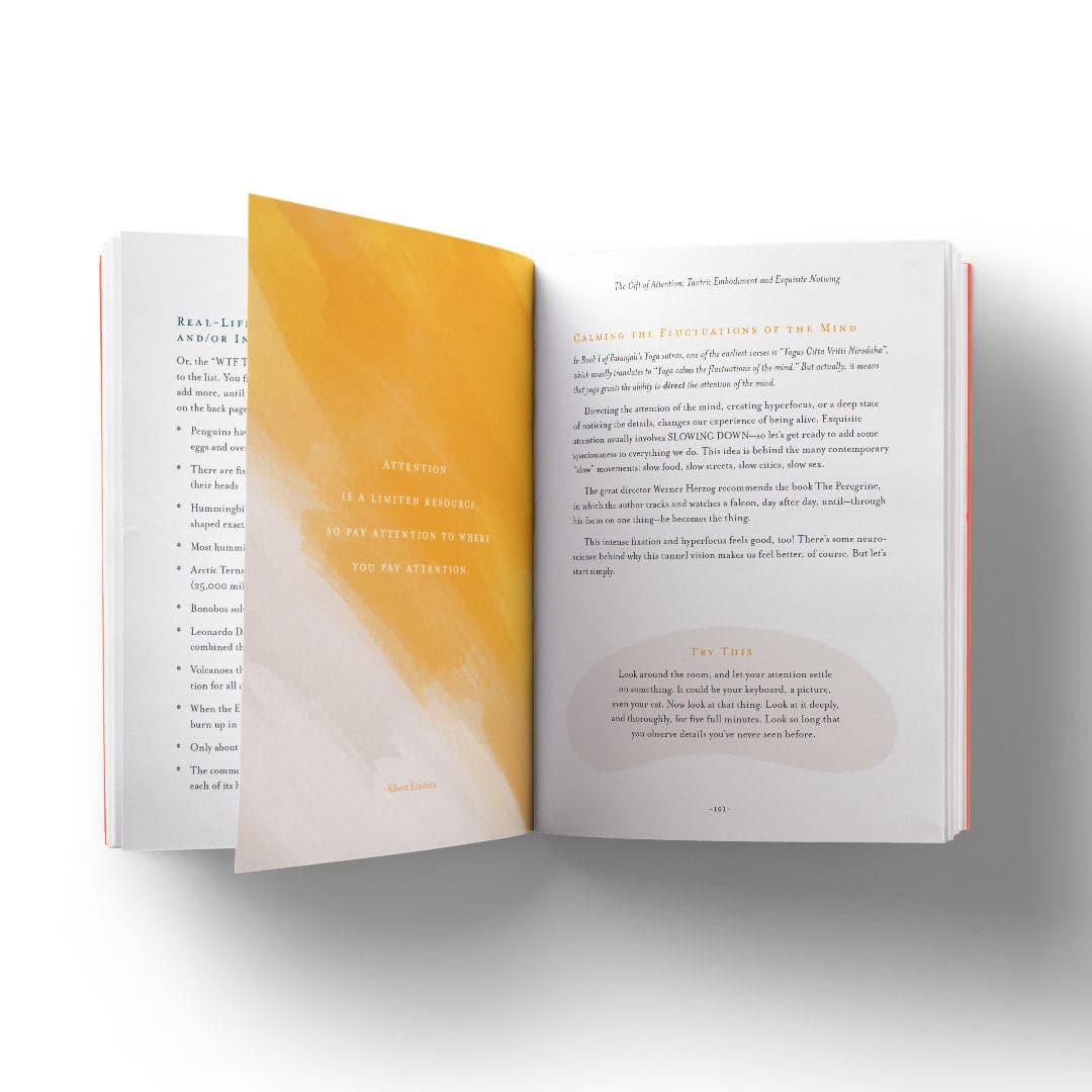 Rosebud Woman The Nine Gifts First Aid for Mind, Body and Spirit