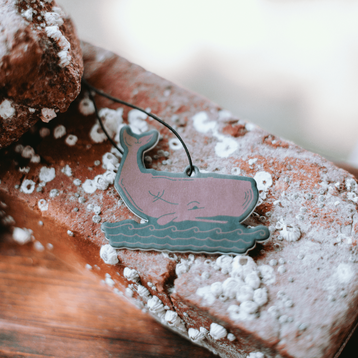 Good & Well Supply Co Acadia National Park Air Freshener