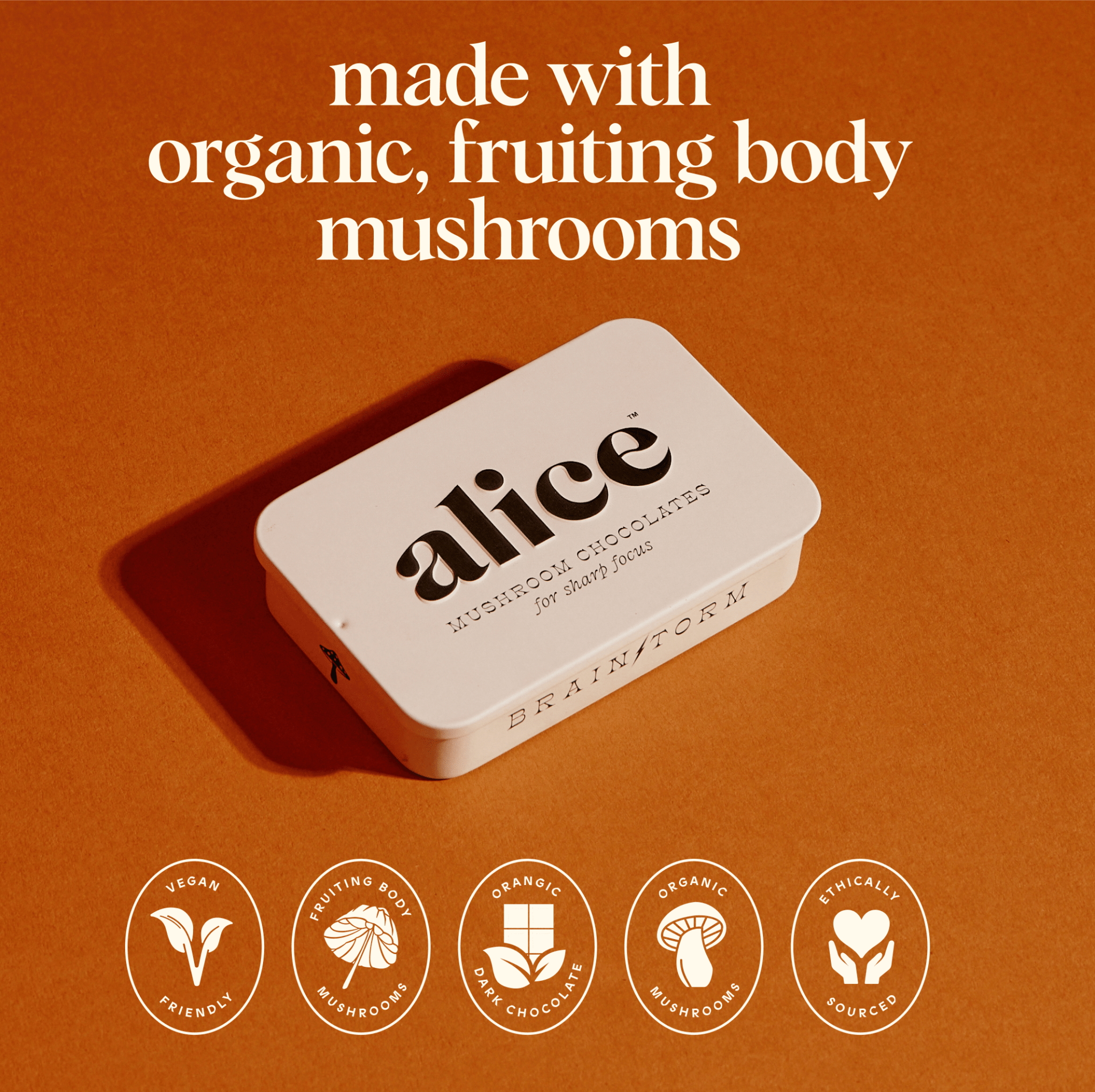 alice mushrooms Brainstorm Single Tin