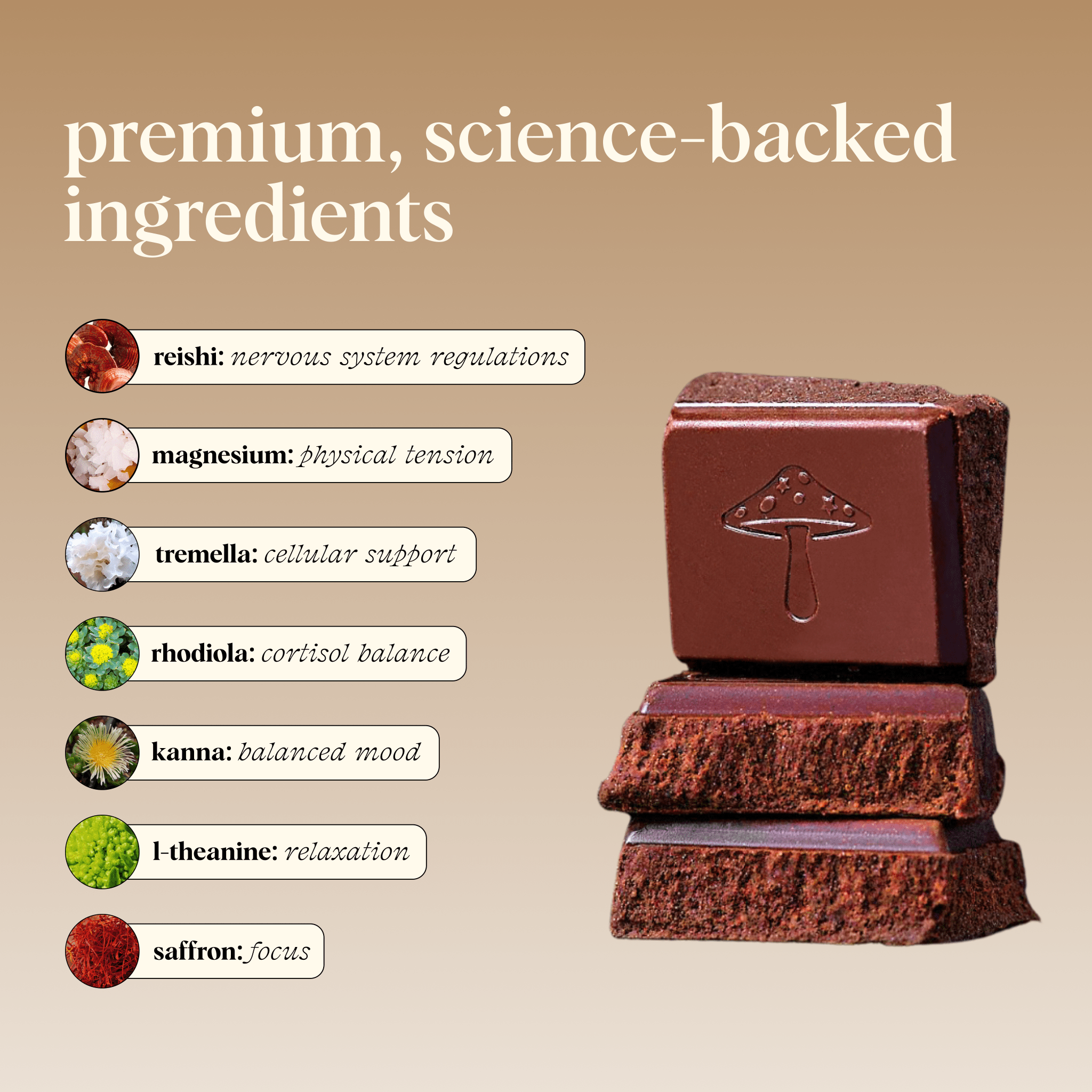 alice mushrooms Zen - X Functional Mushroom Chocolates