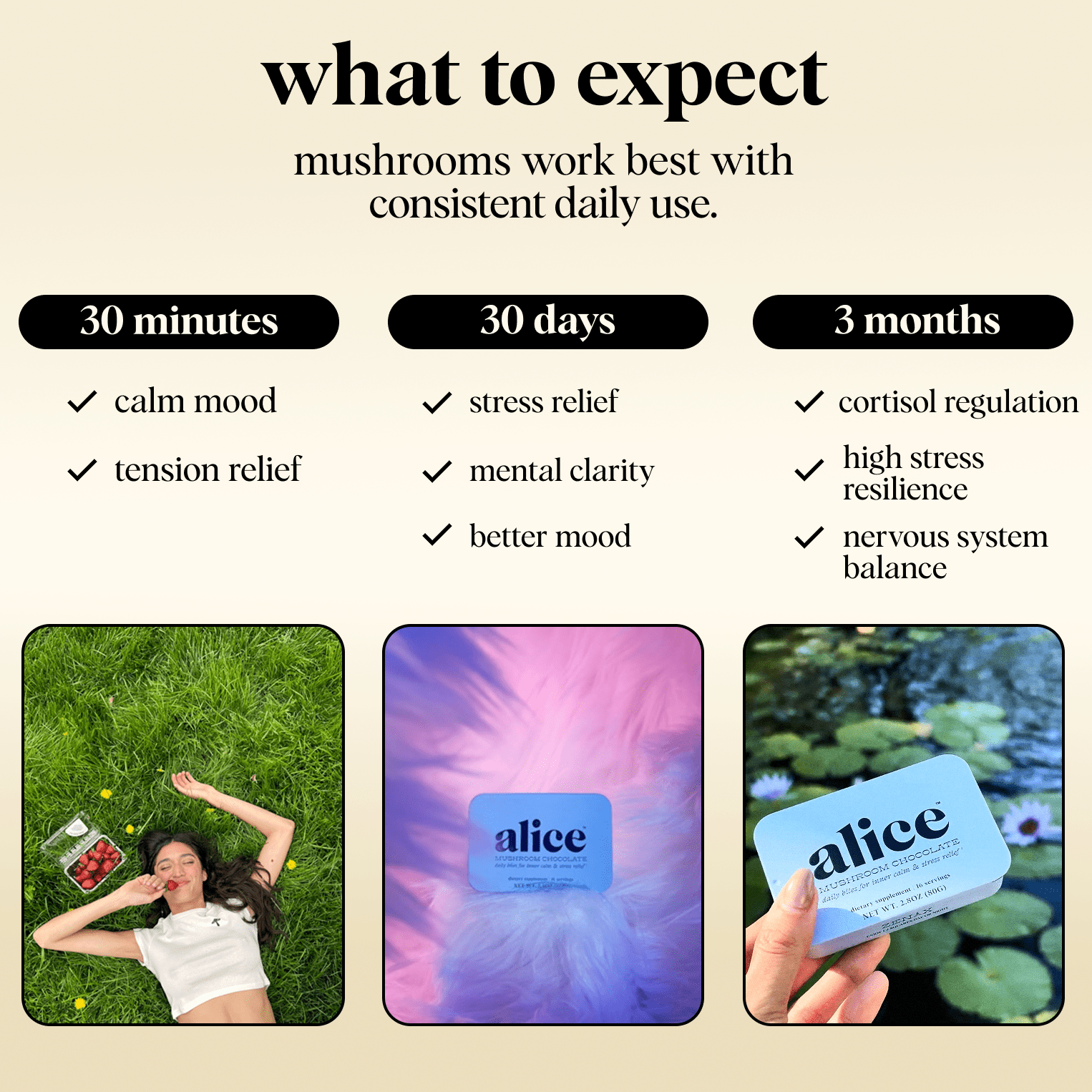 alice mushrooms Zen - X Functional Mushroom Chocolates