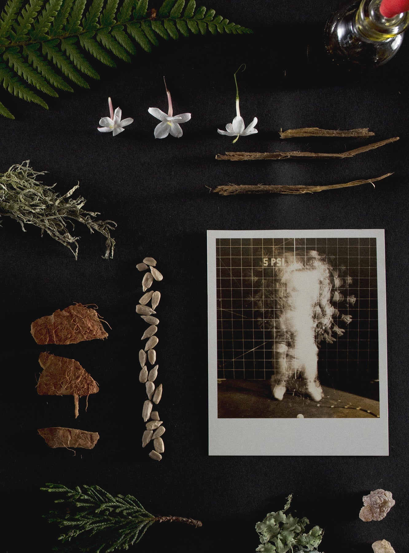 Bathing Culture Mind and Body Wash Travel Size