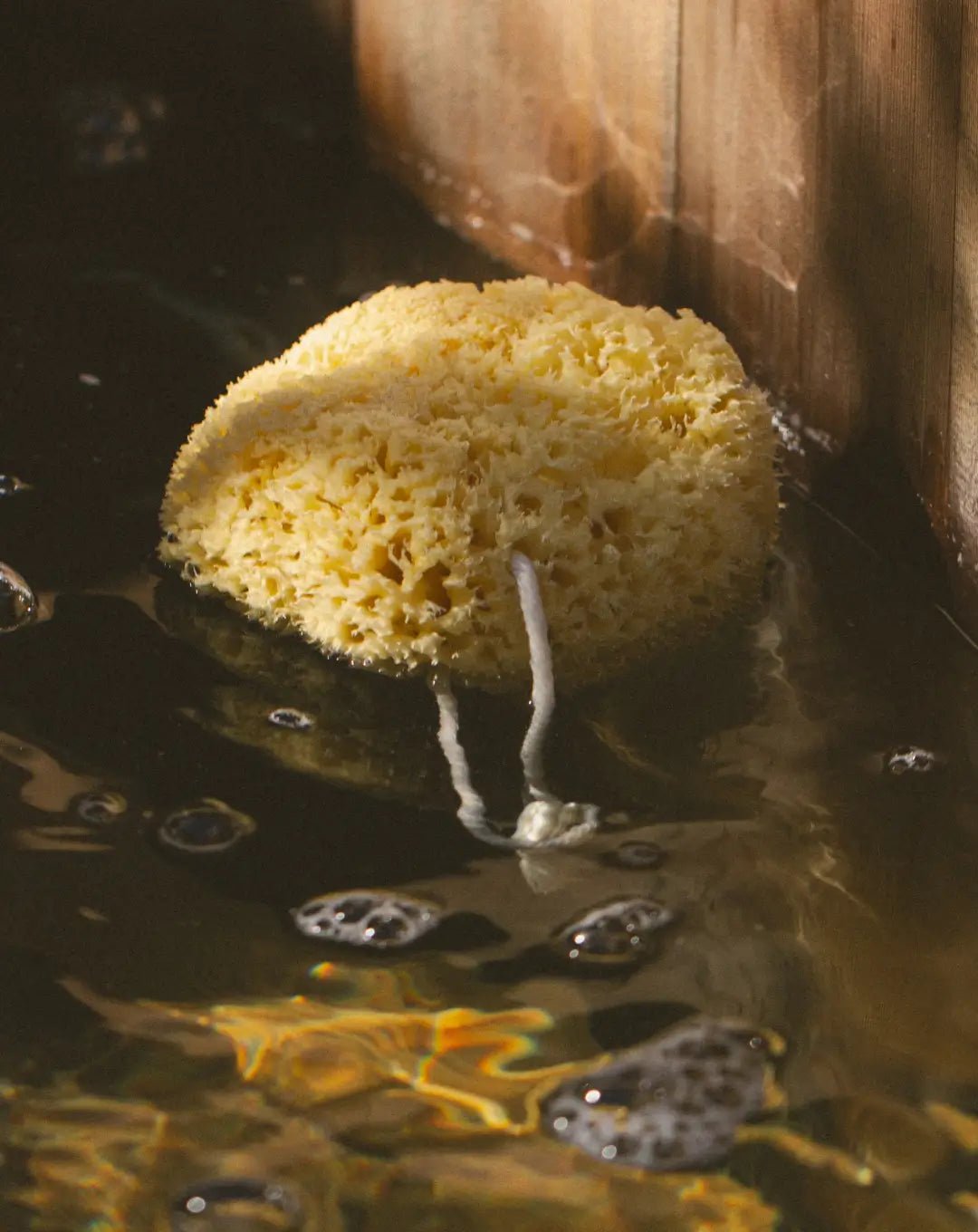 Bathing Culture Mineral Sea Sponge
