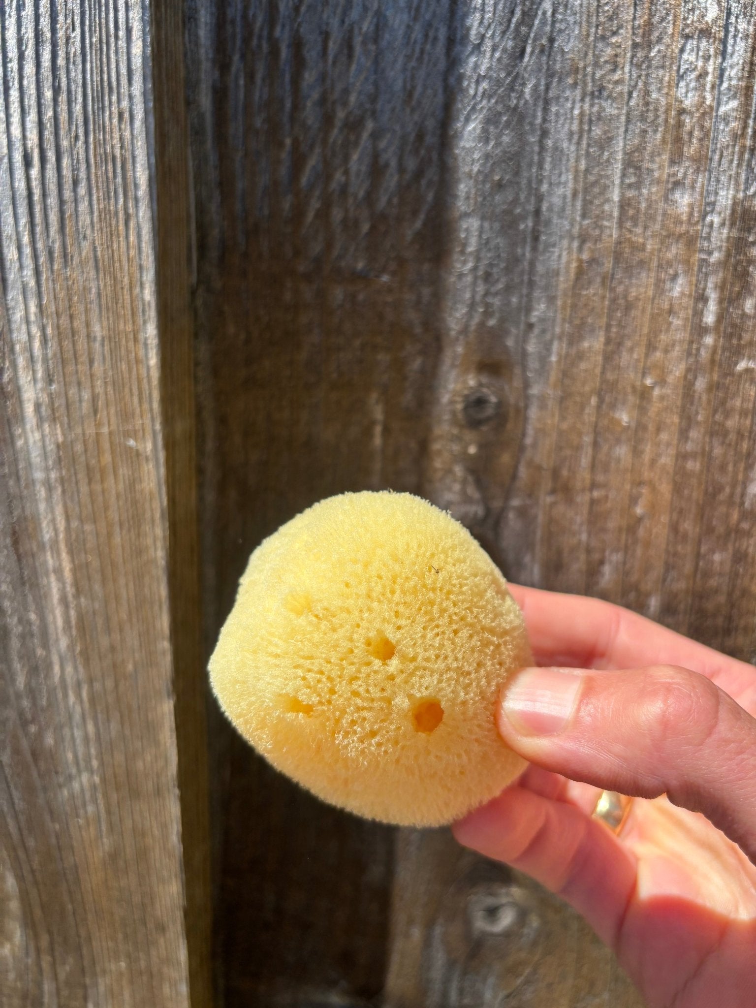 Bathing Culture Mineral Sea Sponge