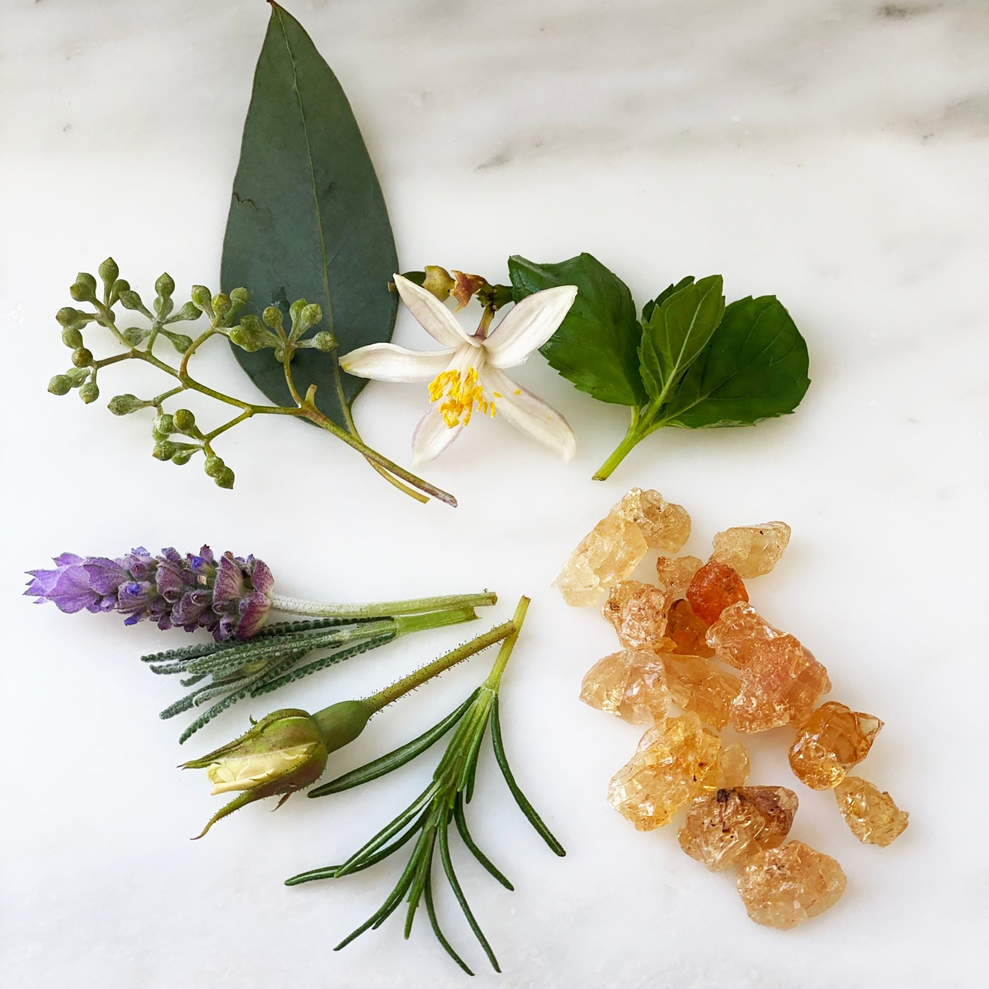 CAMPO RELAX Pure Essential Oil