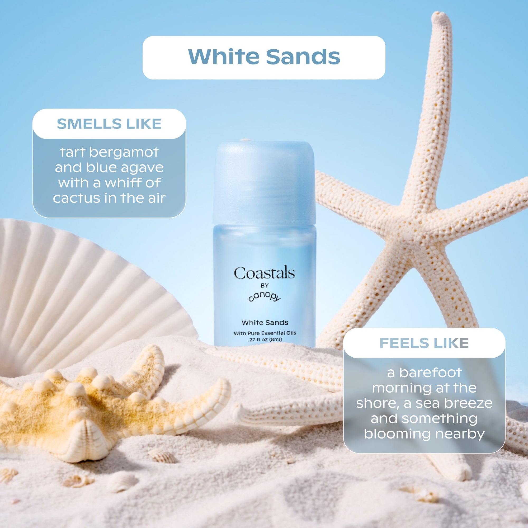 Canopy Coastals Aroma Kit