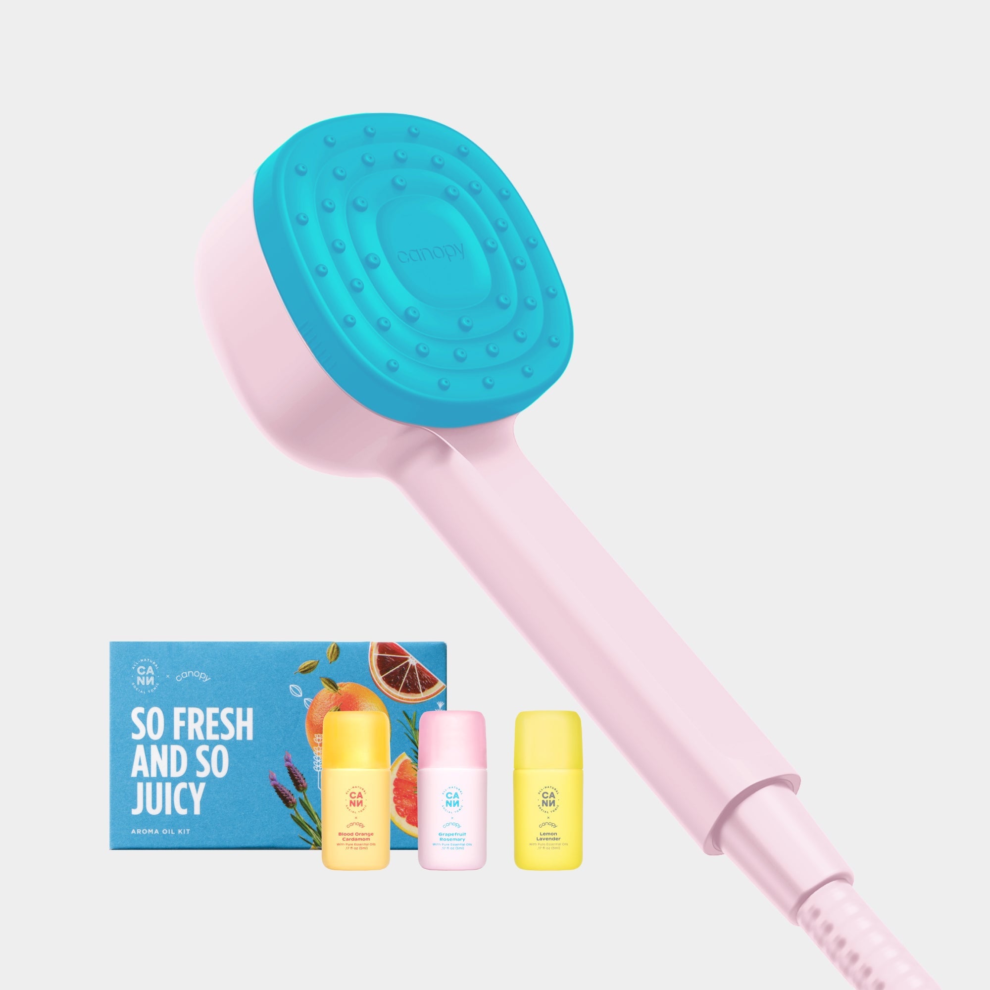 Canopy Handheld Filtered Showerhead