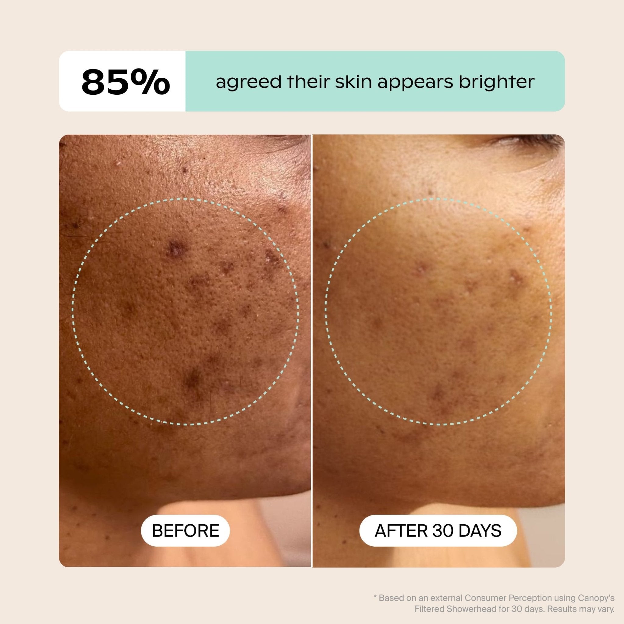 Canopy Handheld Filtered Showerhead