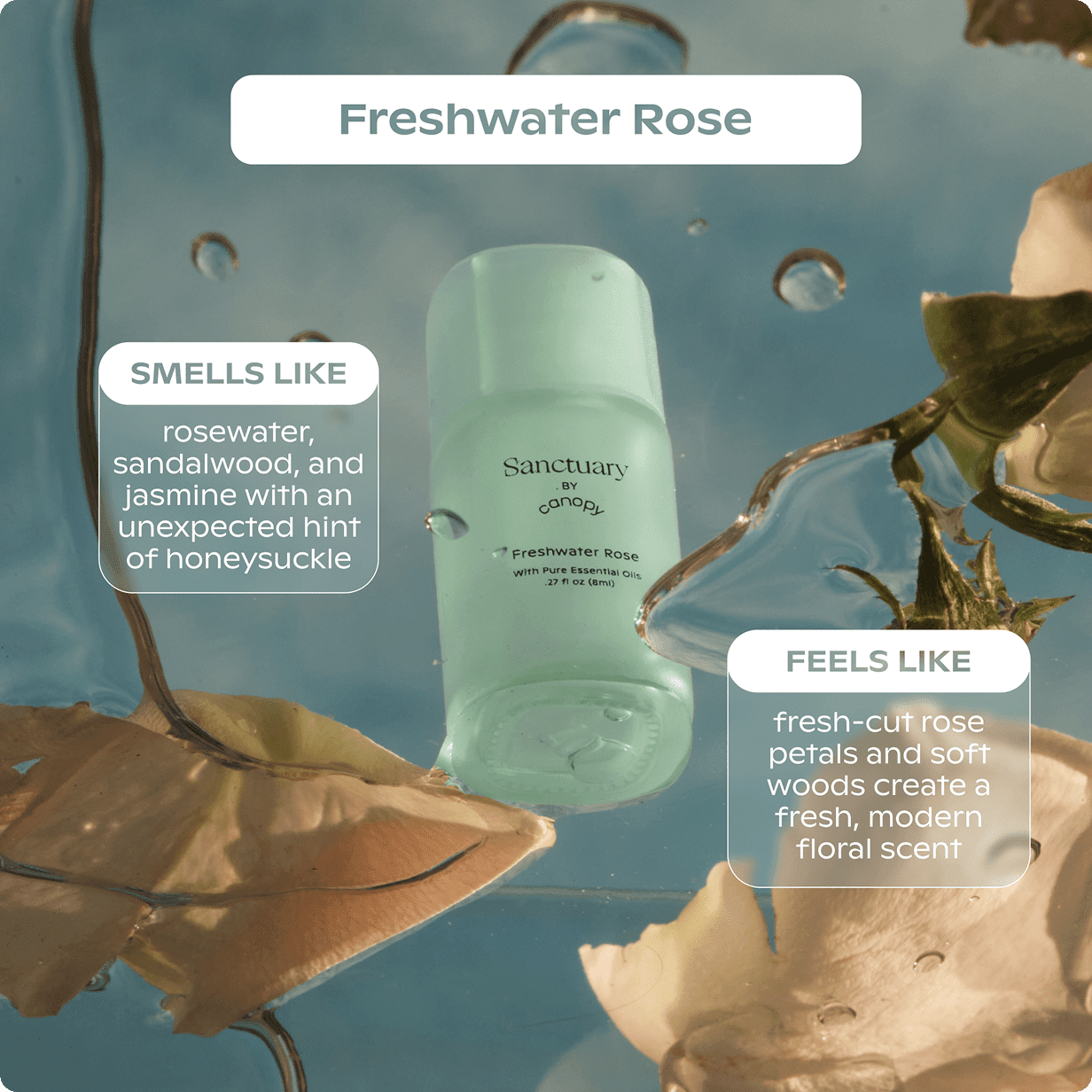 Canopy Sanctuary Aroma Kit