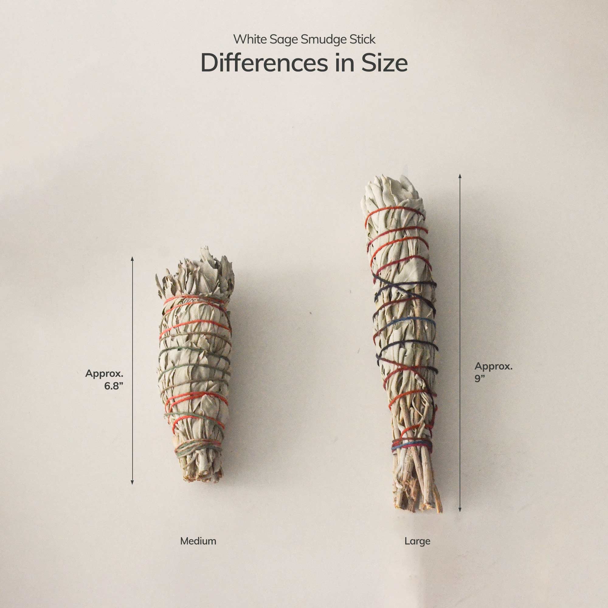 CEDAR AND MYRRH Organic White Sage Smudge Stick - Medium