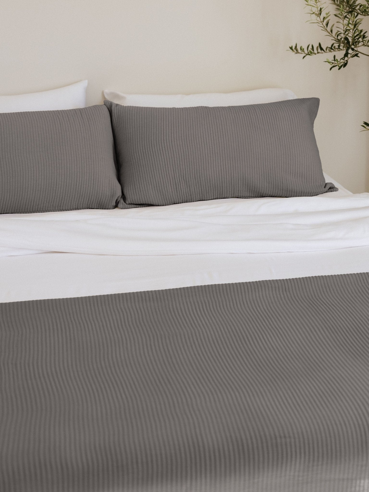 Cozy Earth Bamboo Coverlet