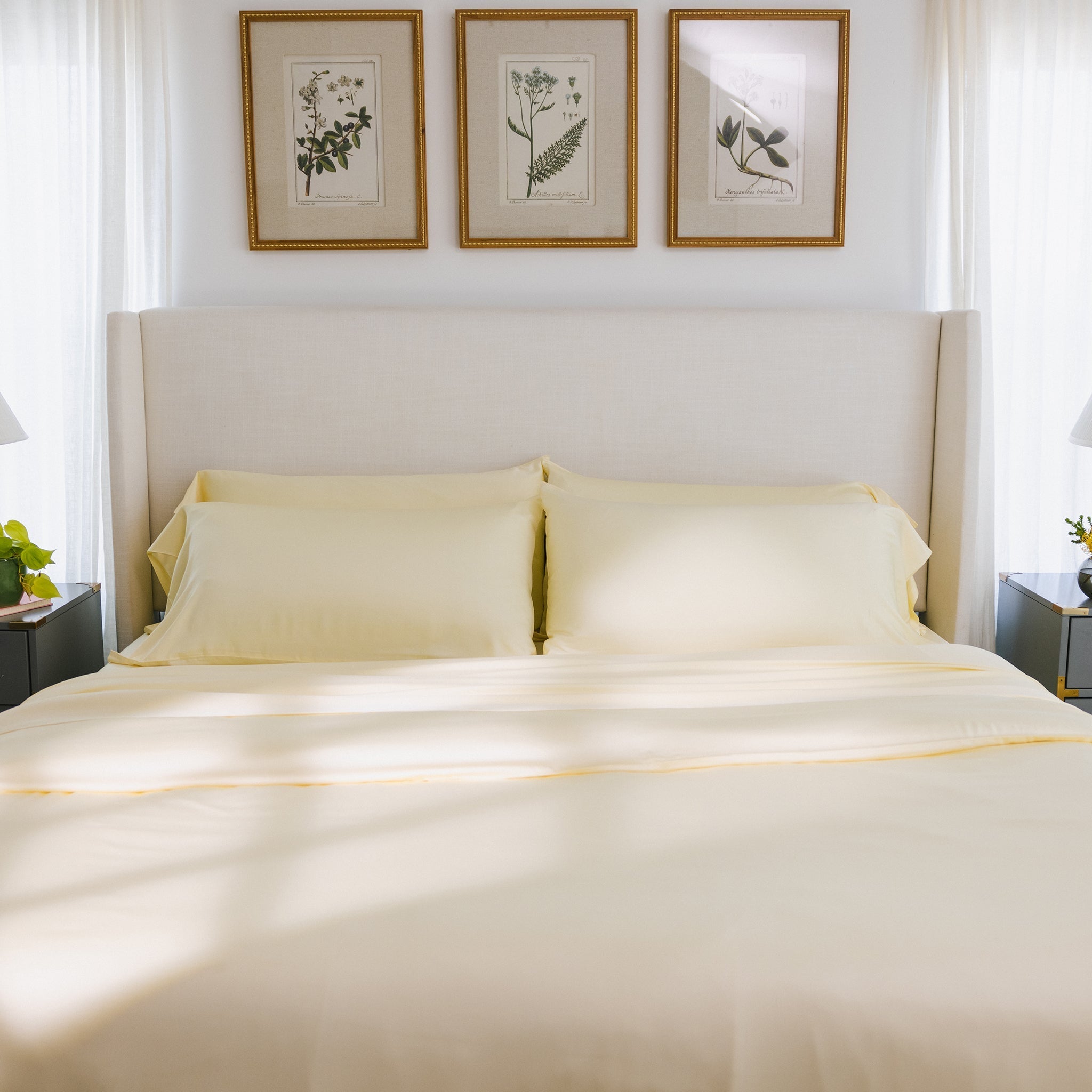 Cozy Earth Bamboo Duvet Cover - Last Chance