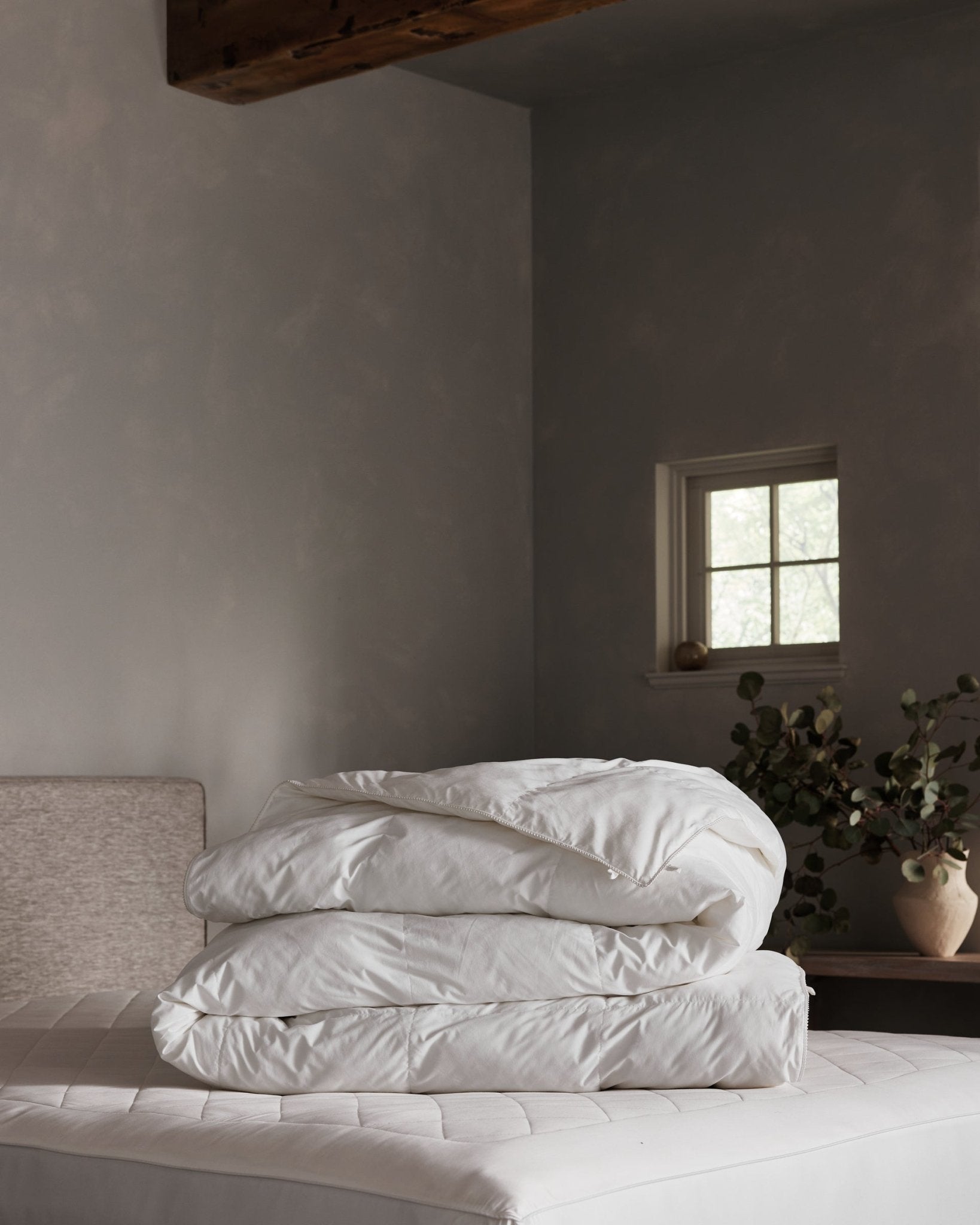 Cozy Earth Down Alternative Comforter