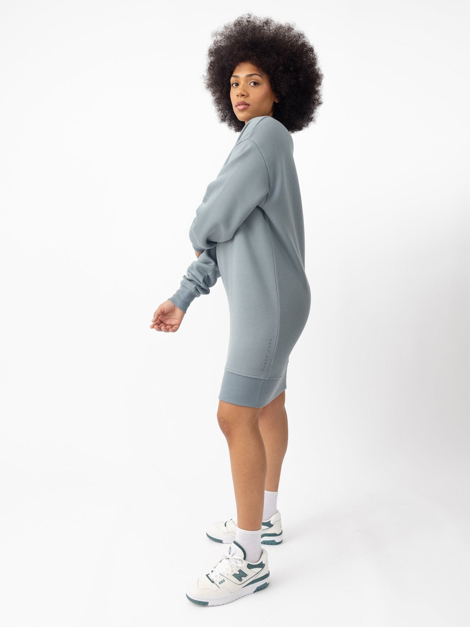 Cozy Earth Women's CityScape Crewneck Dress