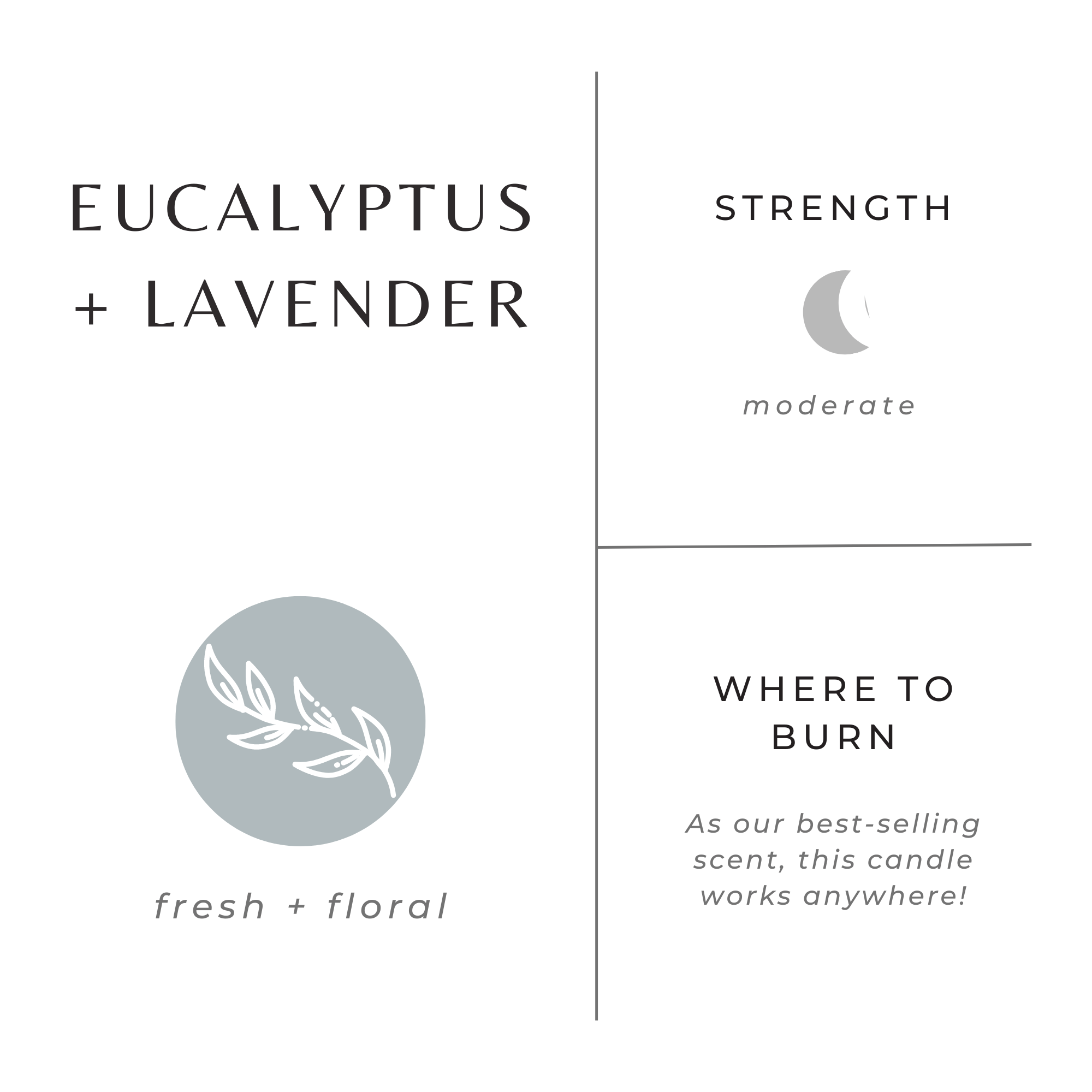 Slow North Eucalyptus + Lavender - Signature Candle
