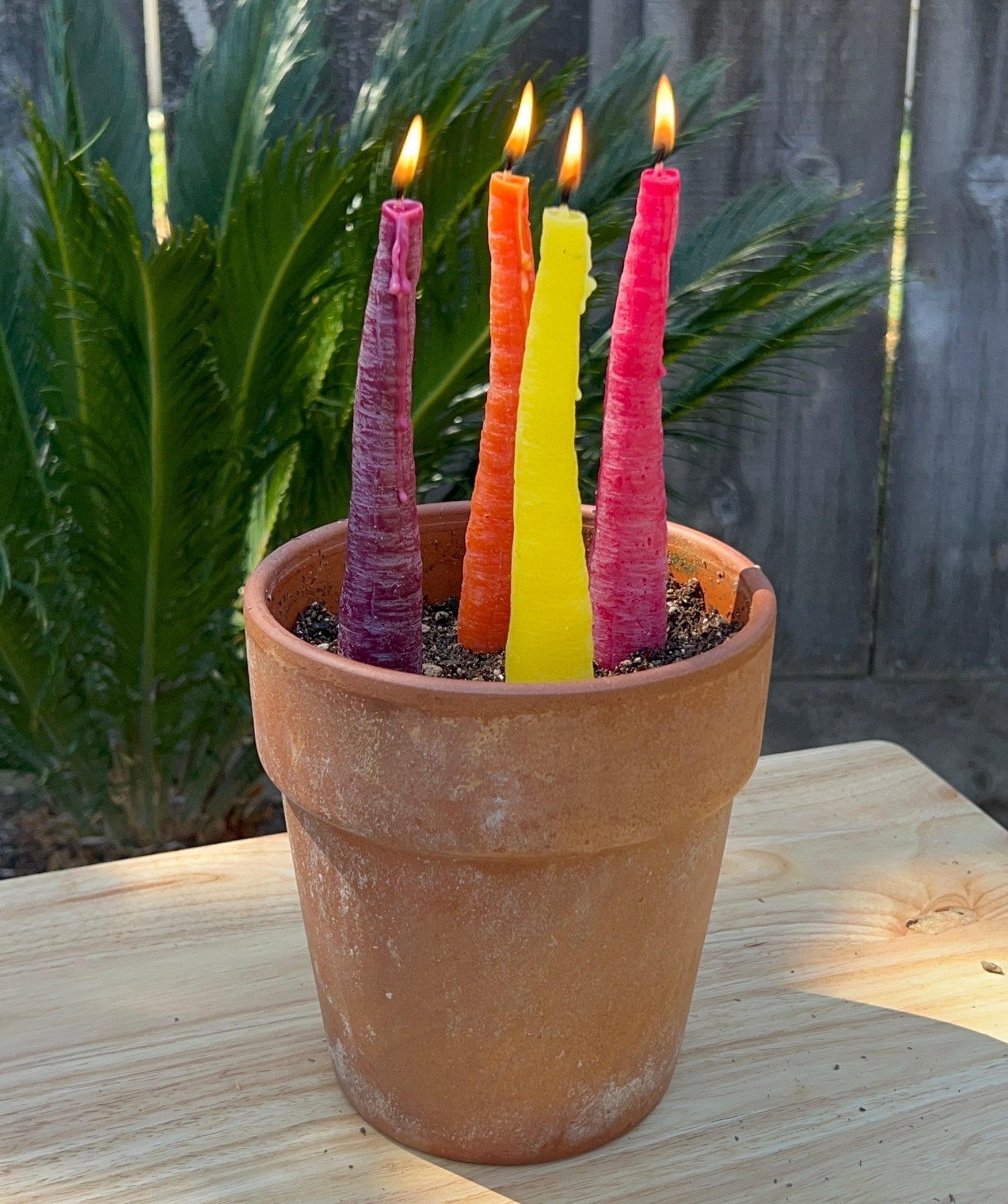 Happy Organics RAINBOW CARROT TAPER BEESWAX CANDLE - SET OF 2