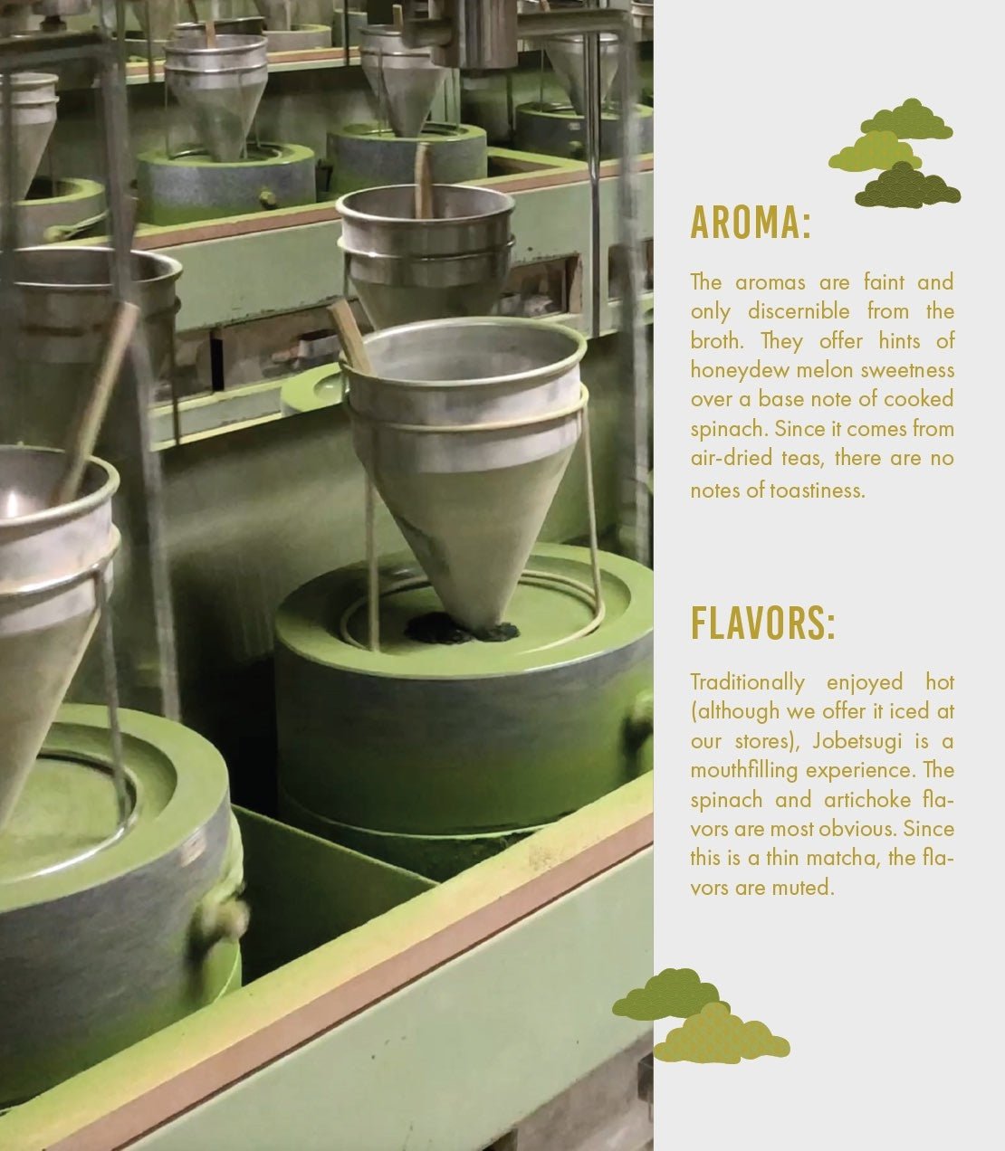 Harney & Sons Fine Teas Organic Everyday Matcha