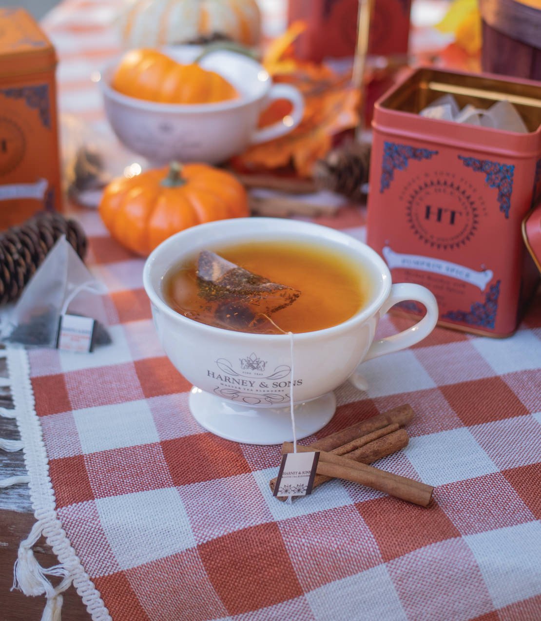 Harney & Sons Fine Teas Pumpkin Spice, HT Tin of 20 Sachets