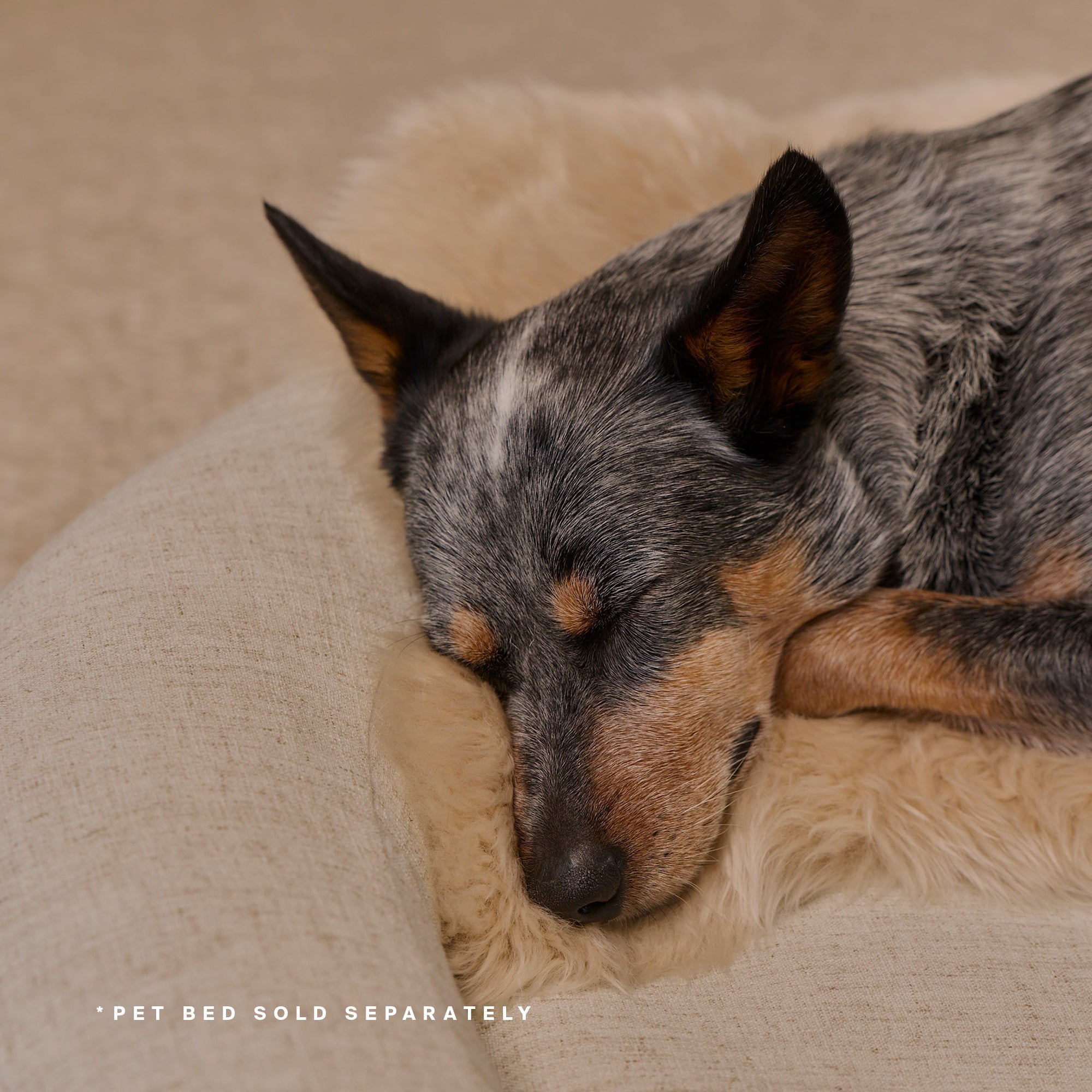 HigherDOSE Natural Sheep Shearling Pet Bed Cover