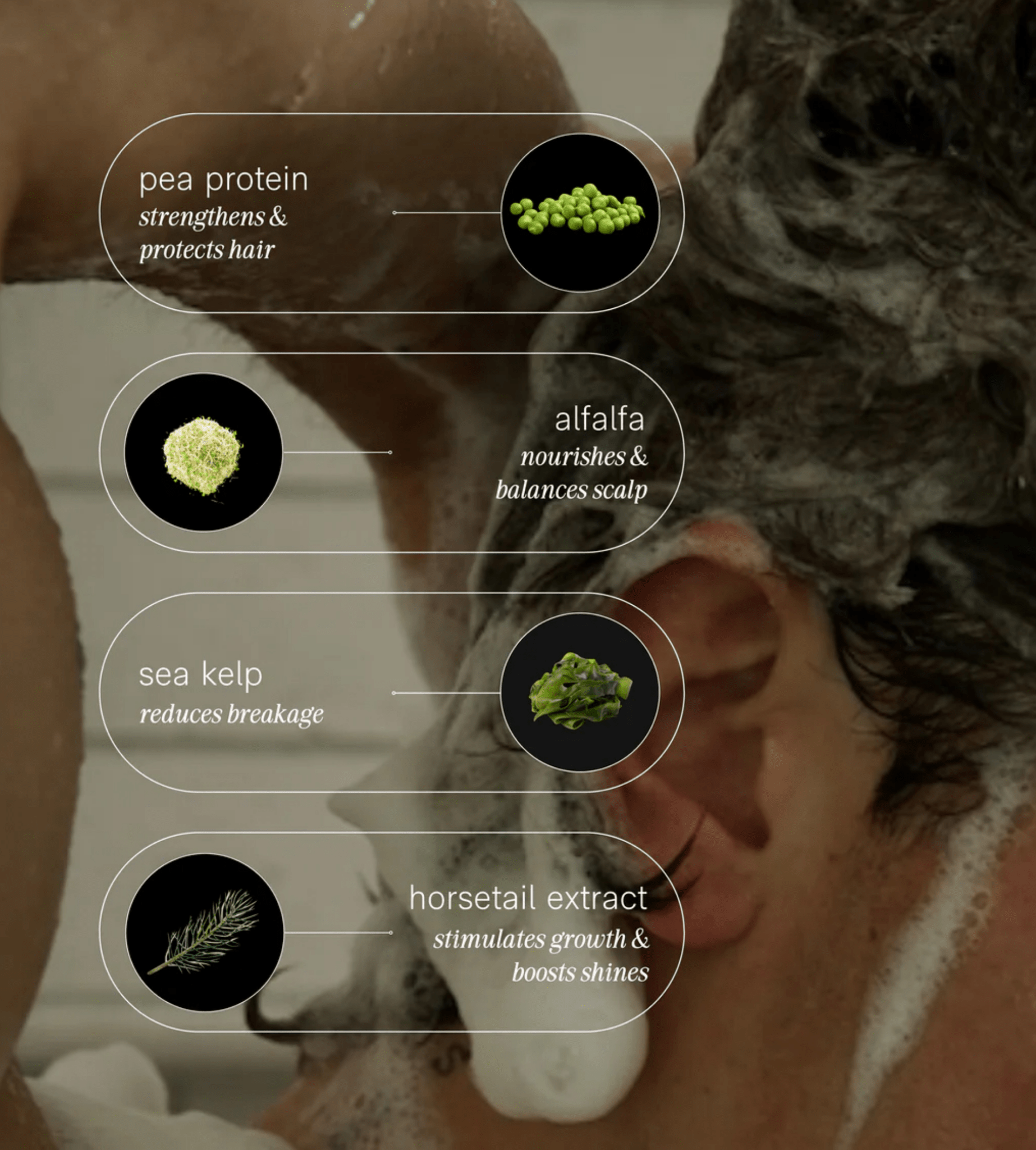 JACK HENRY Creamy Shampoo