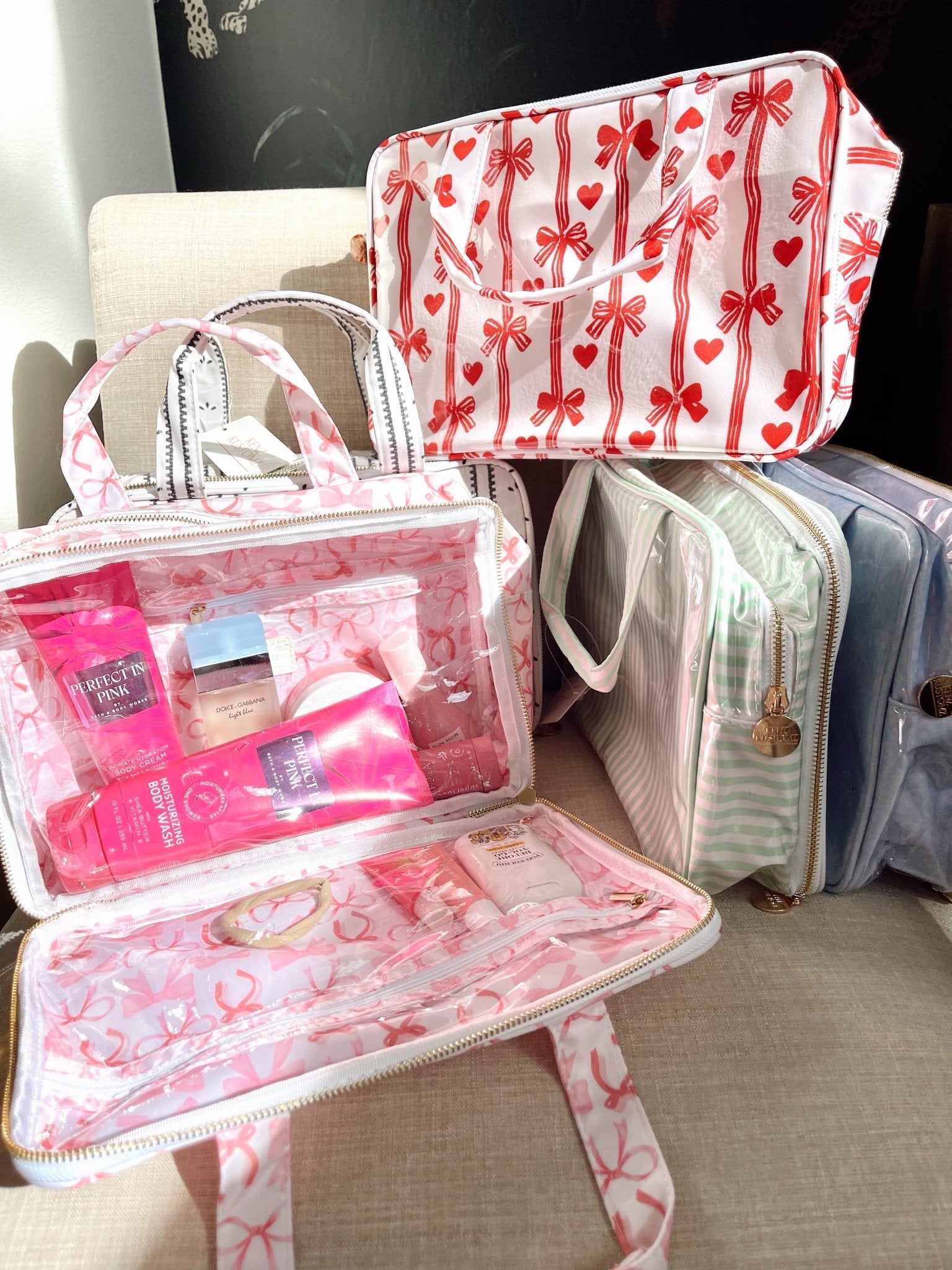 KenzKustomz Clear Coat Toiletry Case