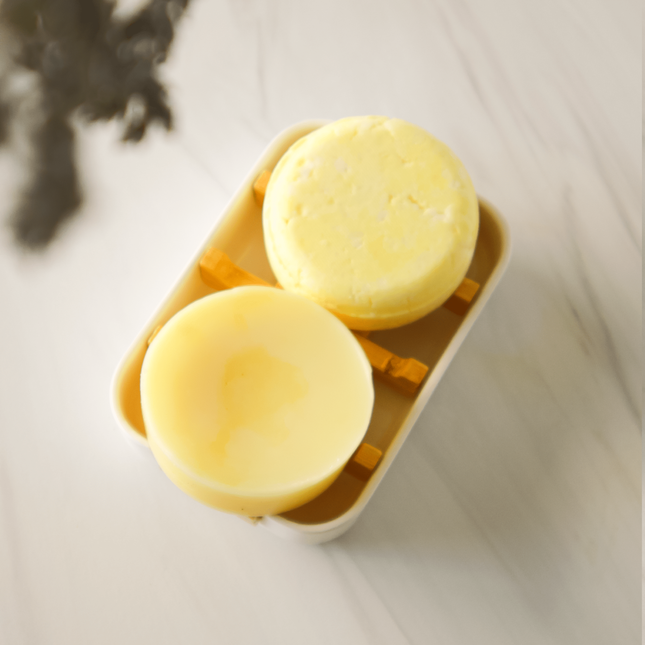 Love of Earth Co. Conditioner Bar