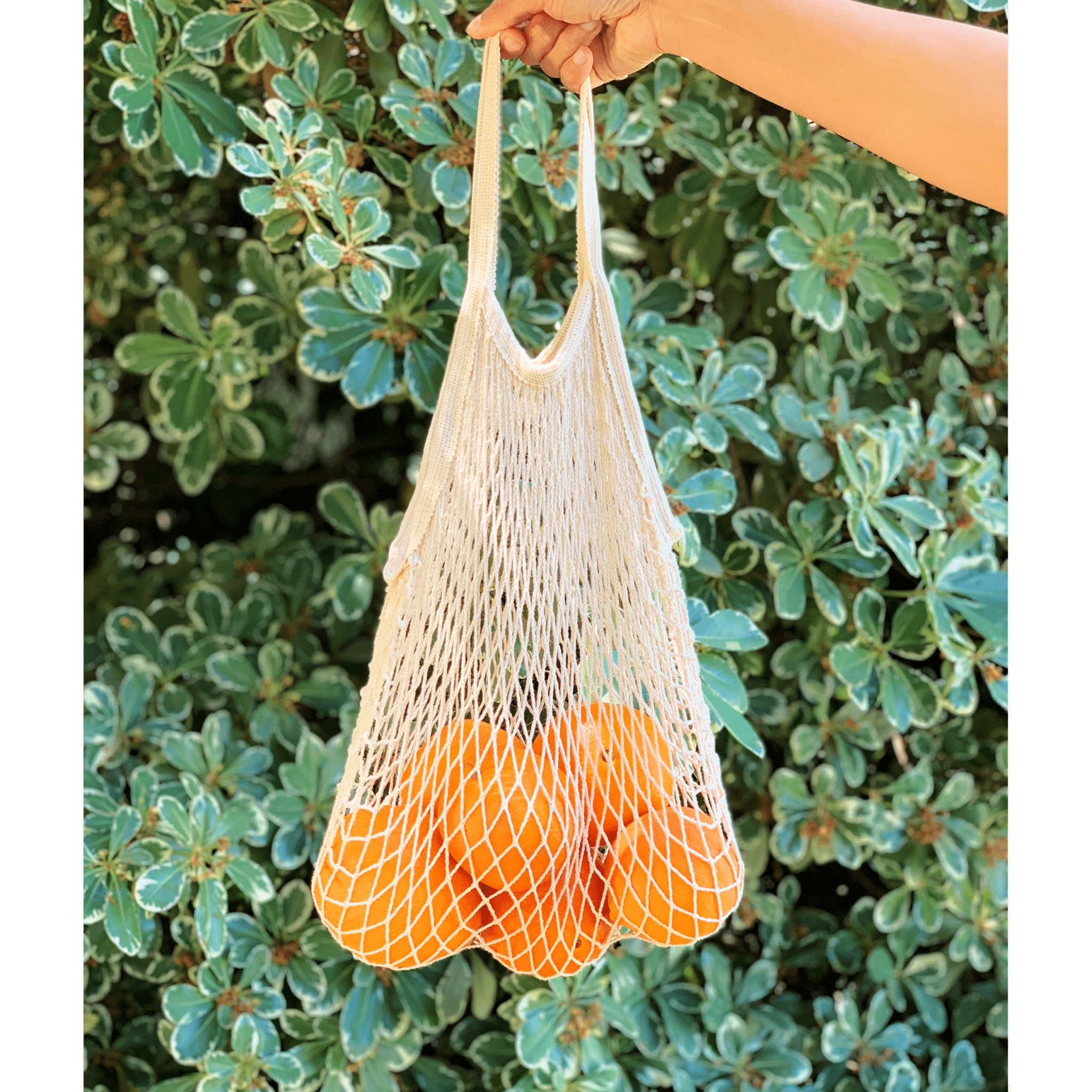 Love of Earth Co. LARGE Mesh Cotton Produce Bags