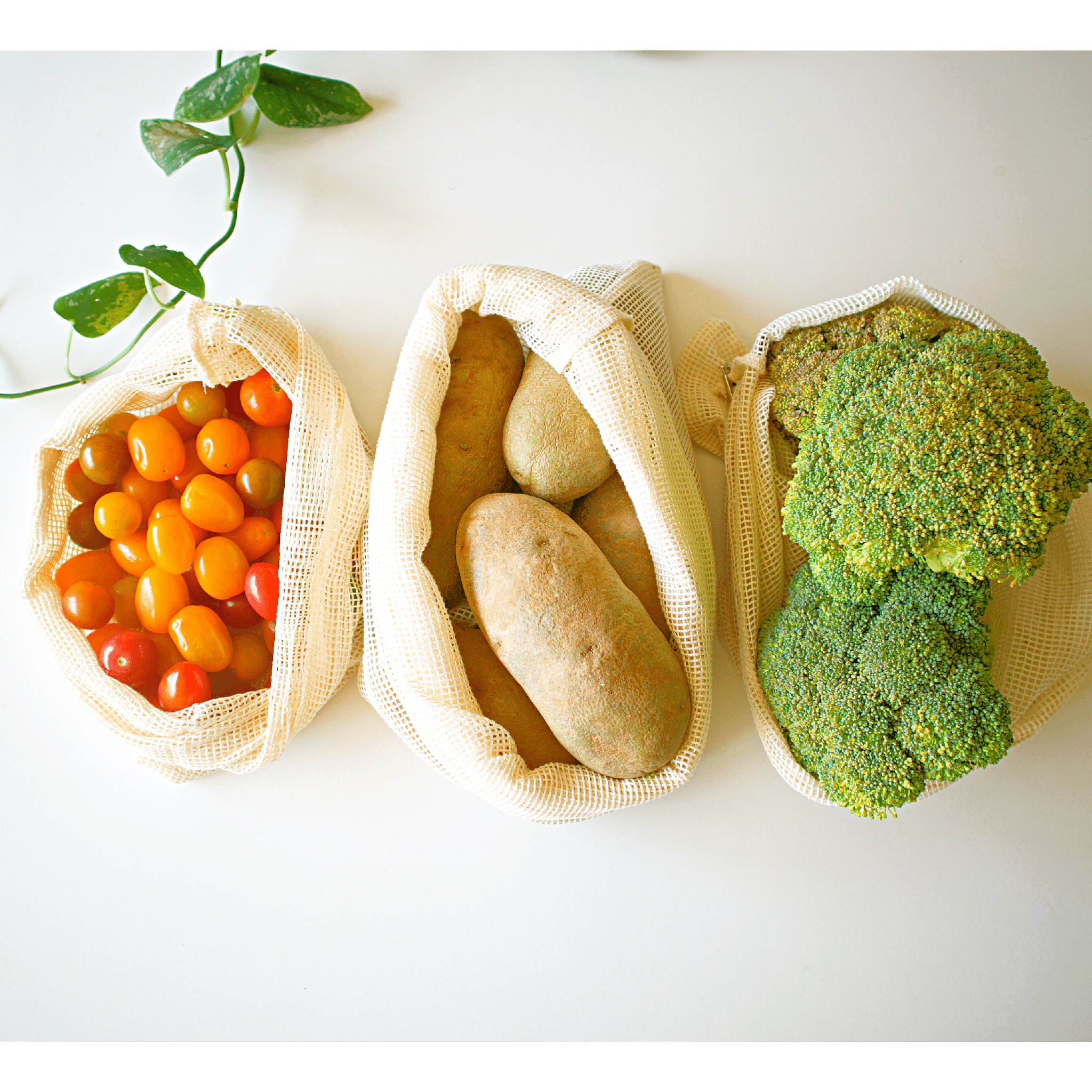 Love of Earth Co. Produce Mesh Bags (Set of 3)