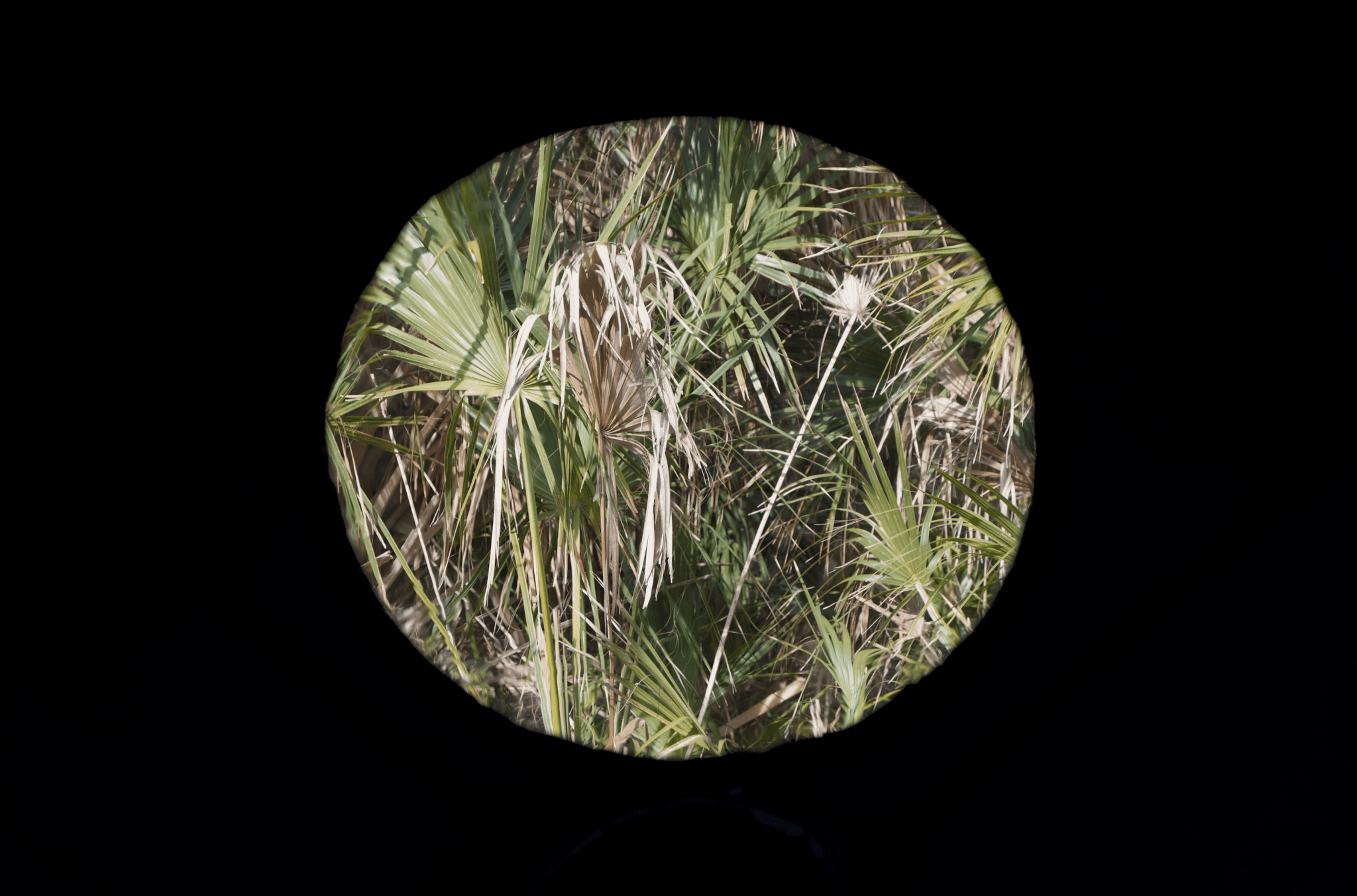 North Shore Sauna Dome Sauna Tent (8 - person; tent only)