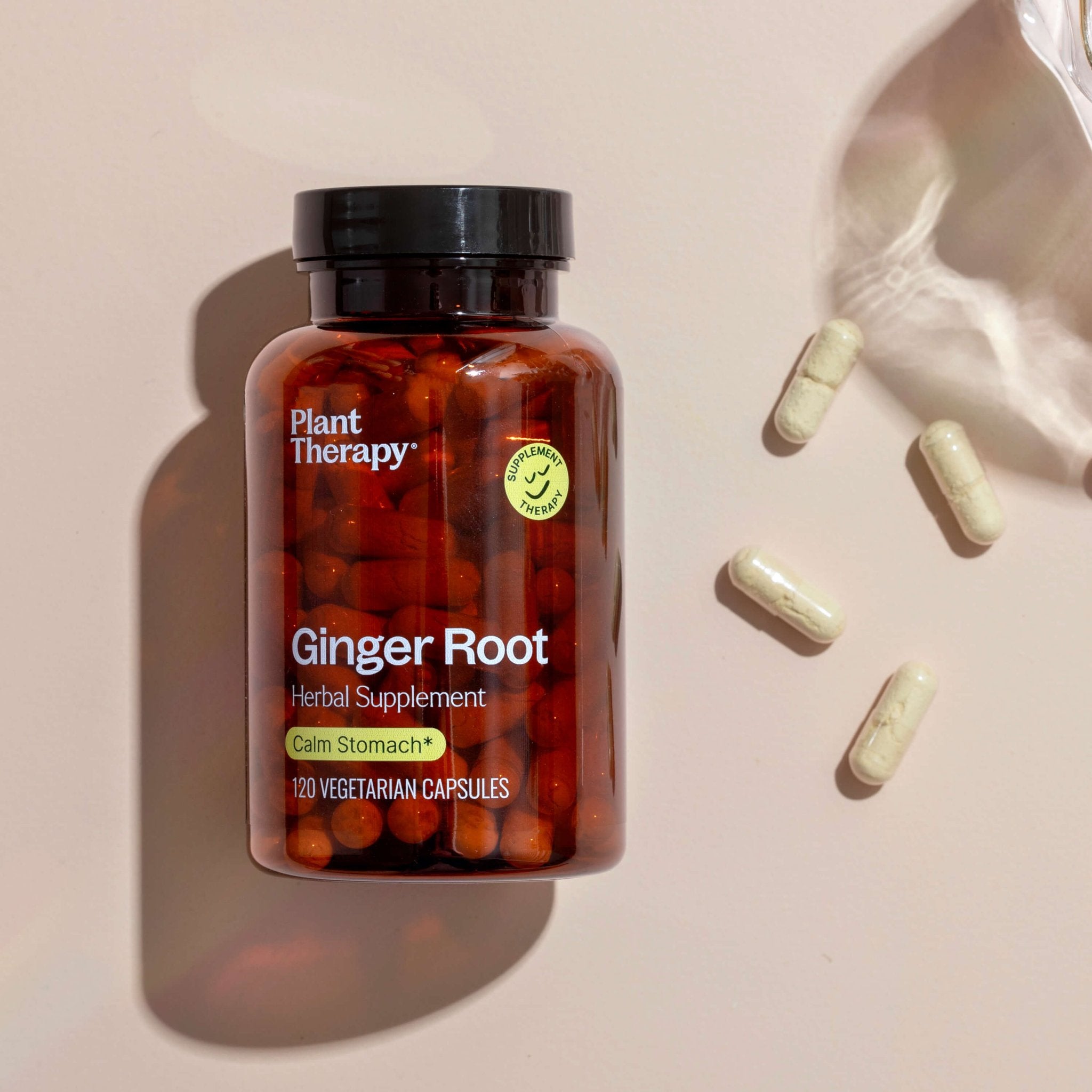 Plant Therapy Ginger Root Herbal Supplement - 120 Capsules