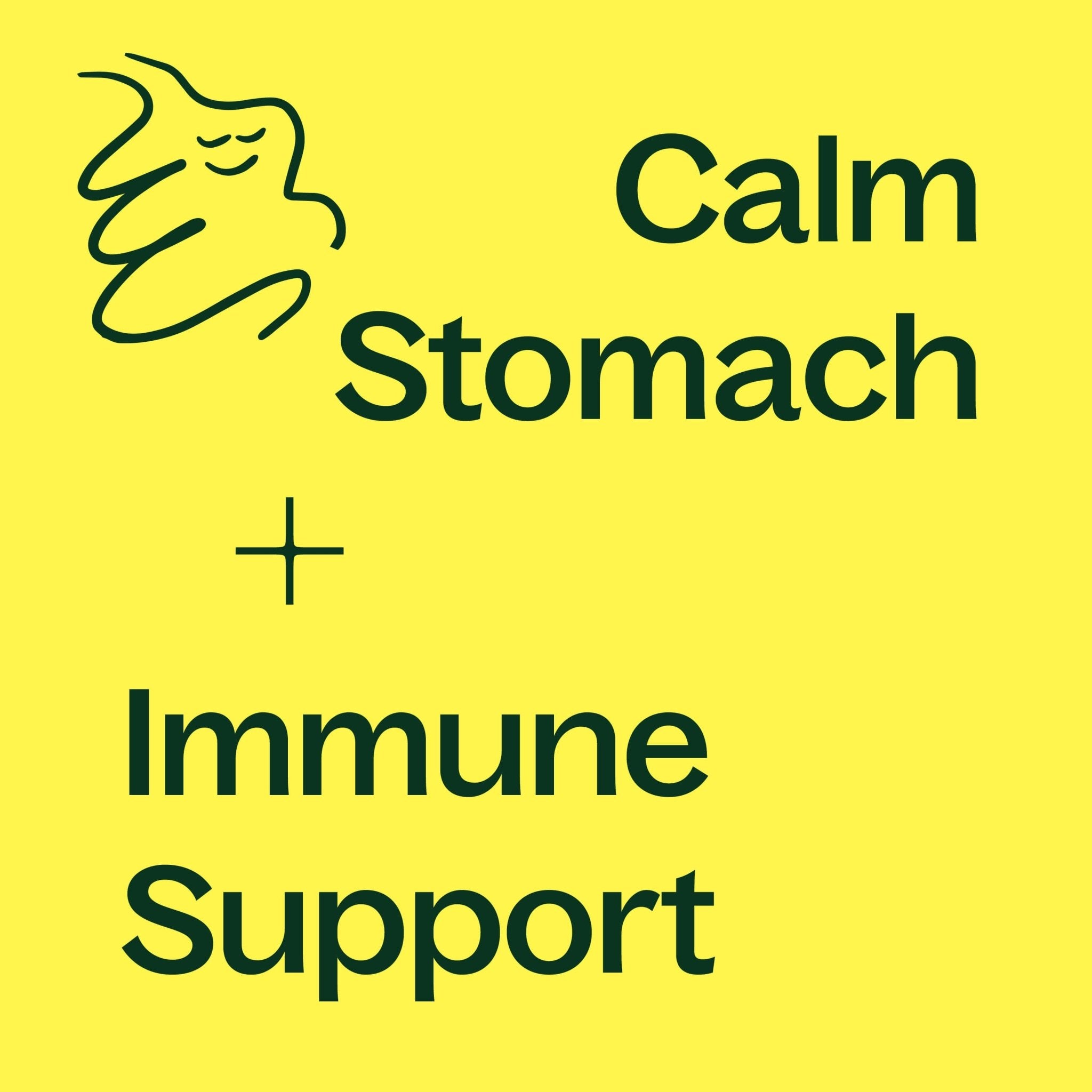 Plant Therapy Ginger Root Herbal Supplement - 120 Capsules