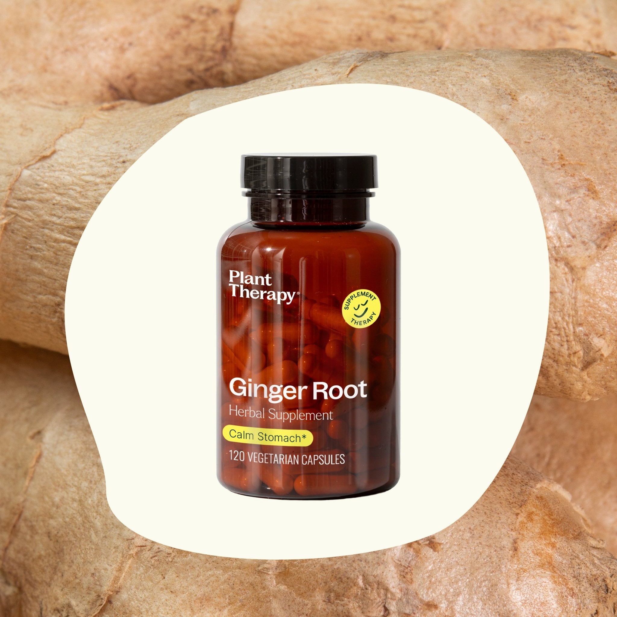 Plant Therapy Ginger Root Herbal Supplement - 120 Capsules