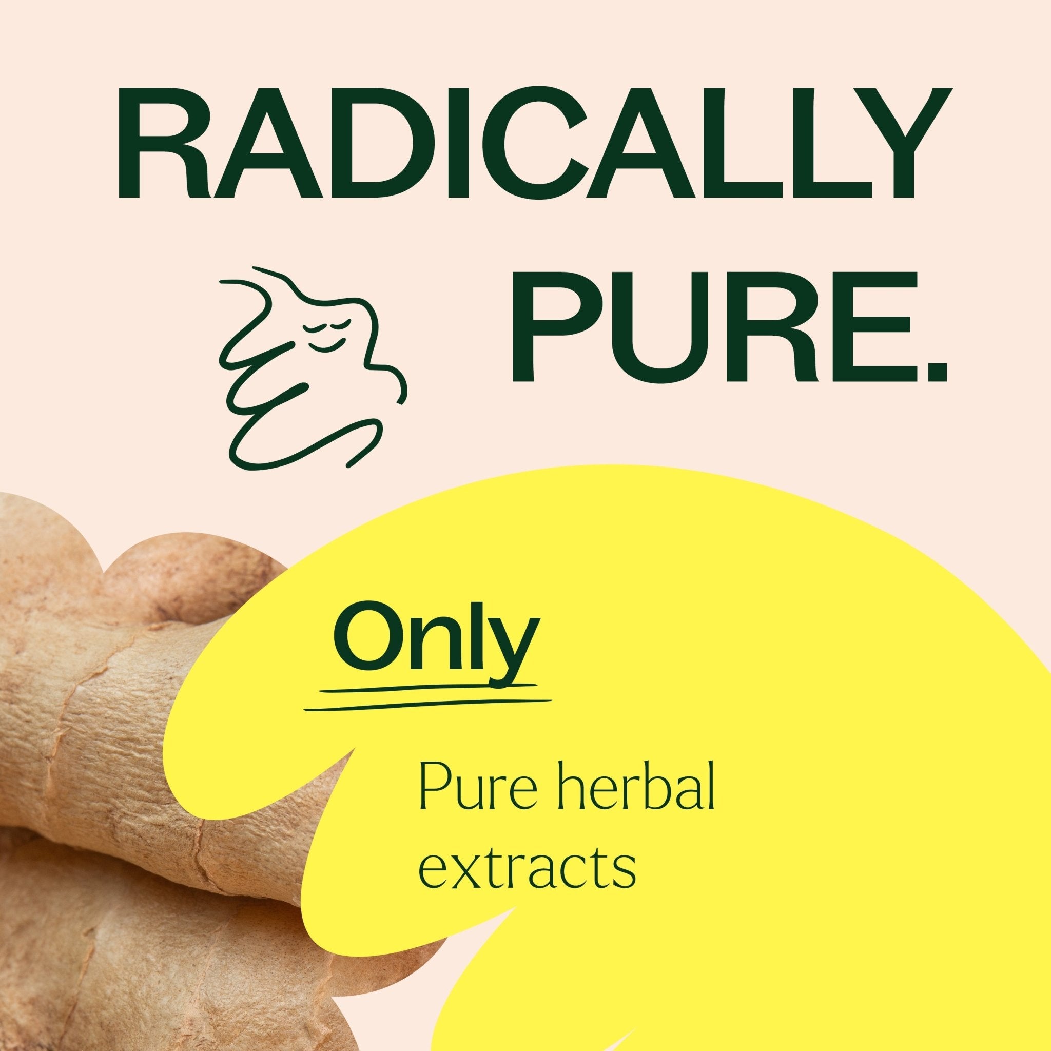 Plant Therapy Ginger Root Herbal Supplement - 120 Capsules