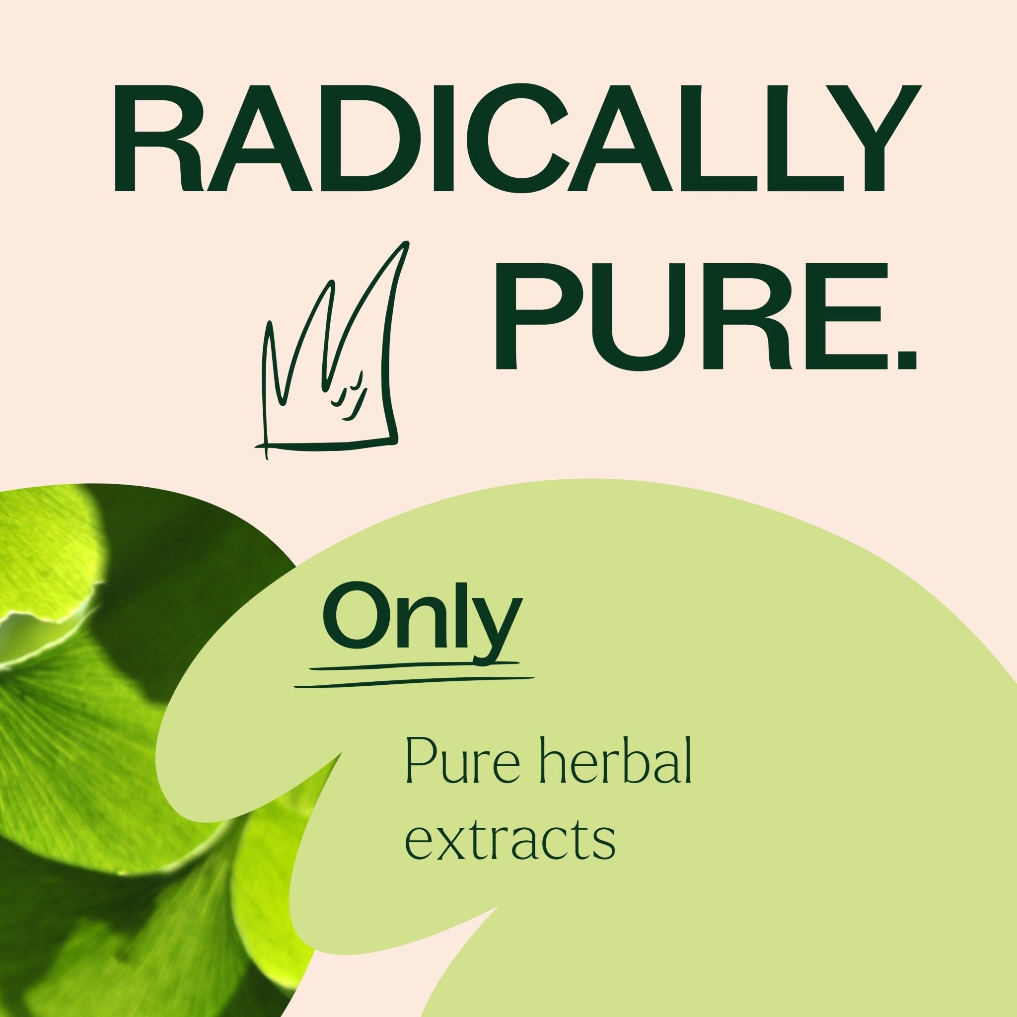 Plant Therapy Ginkgo Biloba Herbal Supplement - 120 Capsules