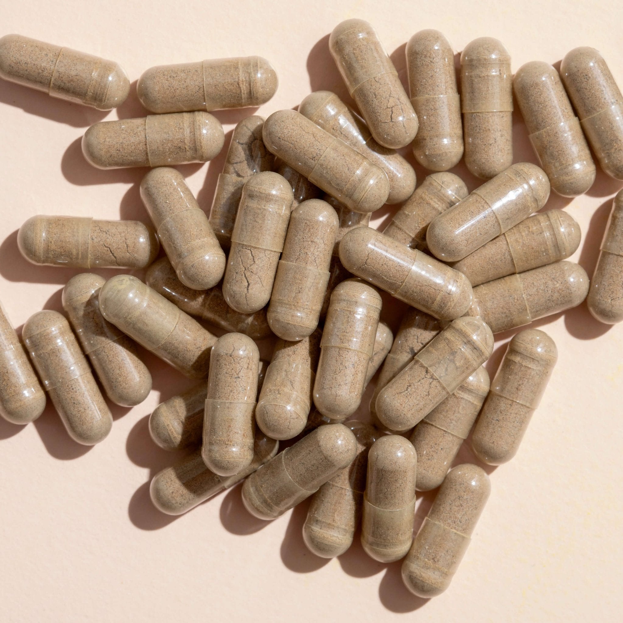 Plant Therapy Ginkgo Biloba Herbal Supplement - 120 Capsules