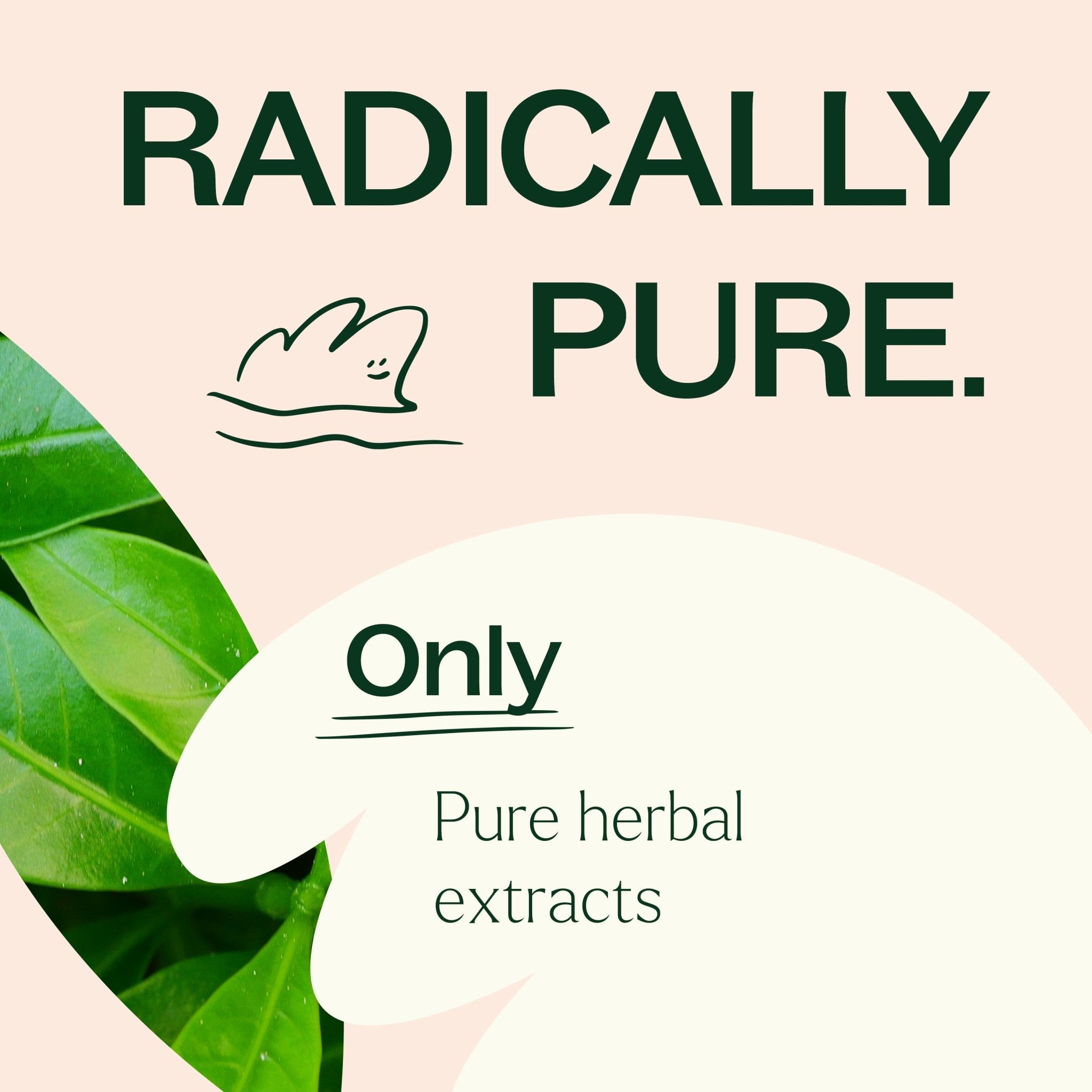 Plant Therapy Metabolism Boost Herbal Supplement - 120 Capsules